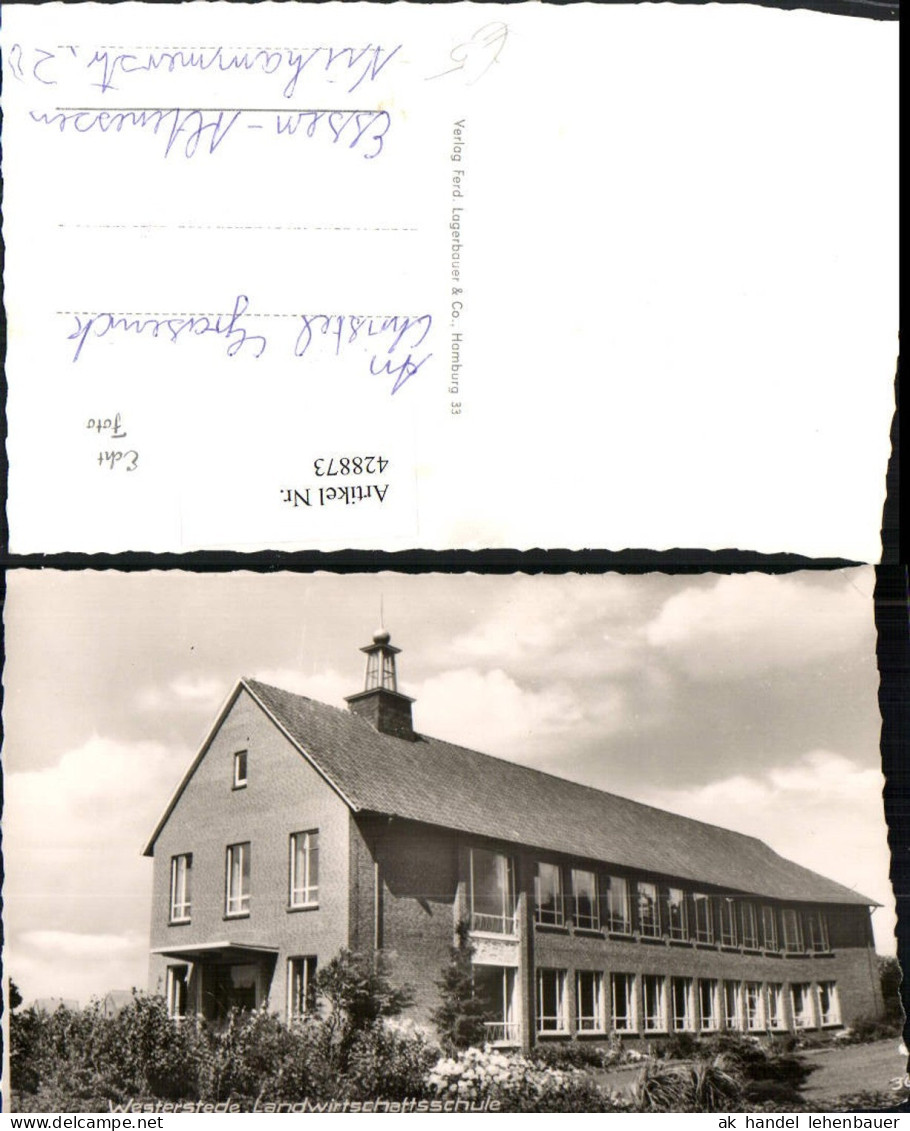 428873,Westerstede Landwirtschaftsschule Schule