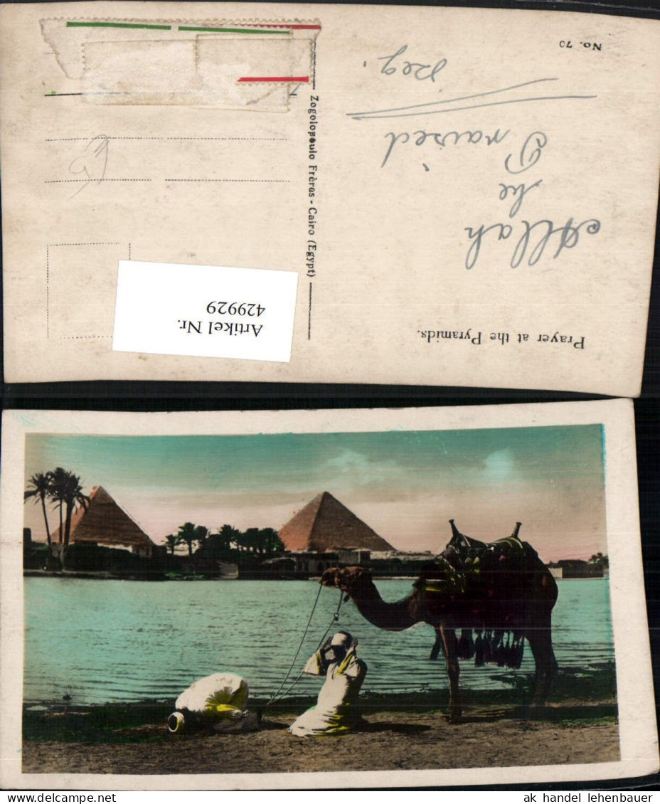 429929,Egypt Pryer at the Pyramids Beter Volkstypen Kamel Pyramiden
