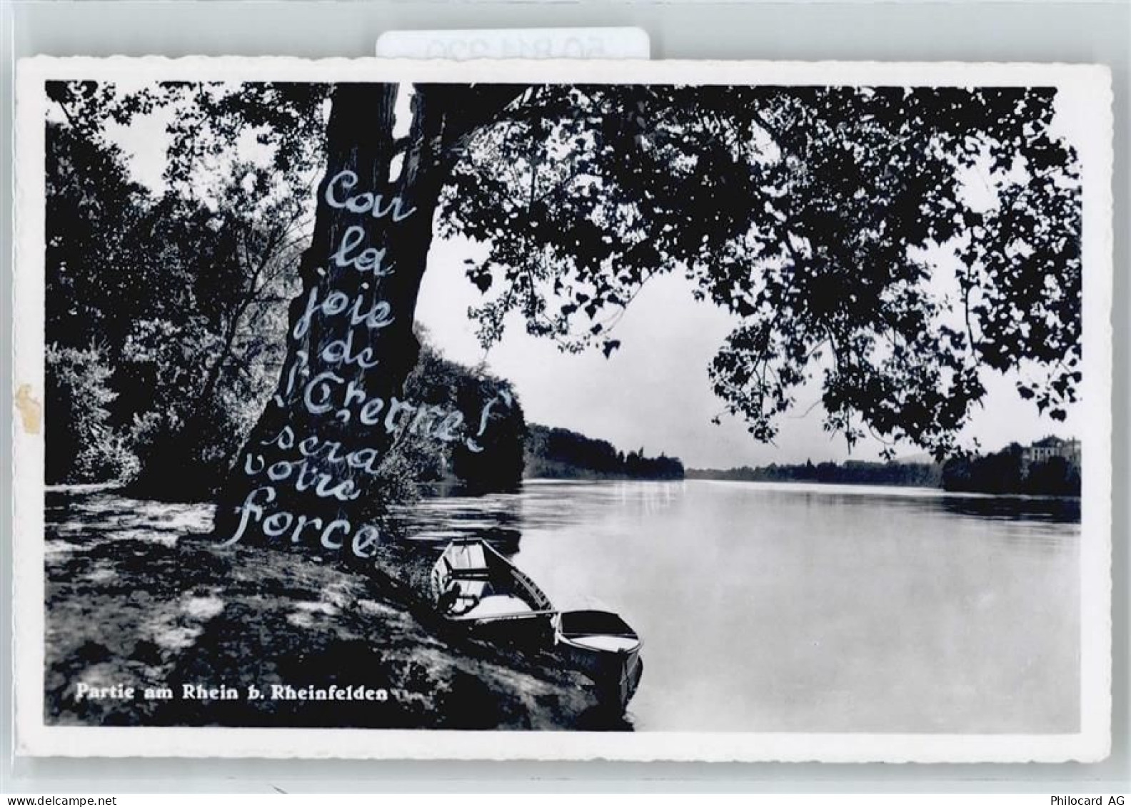 4310 Rheinfelden - 50811220