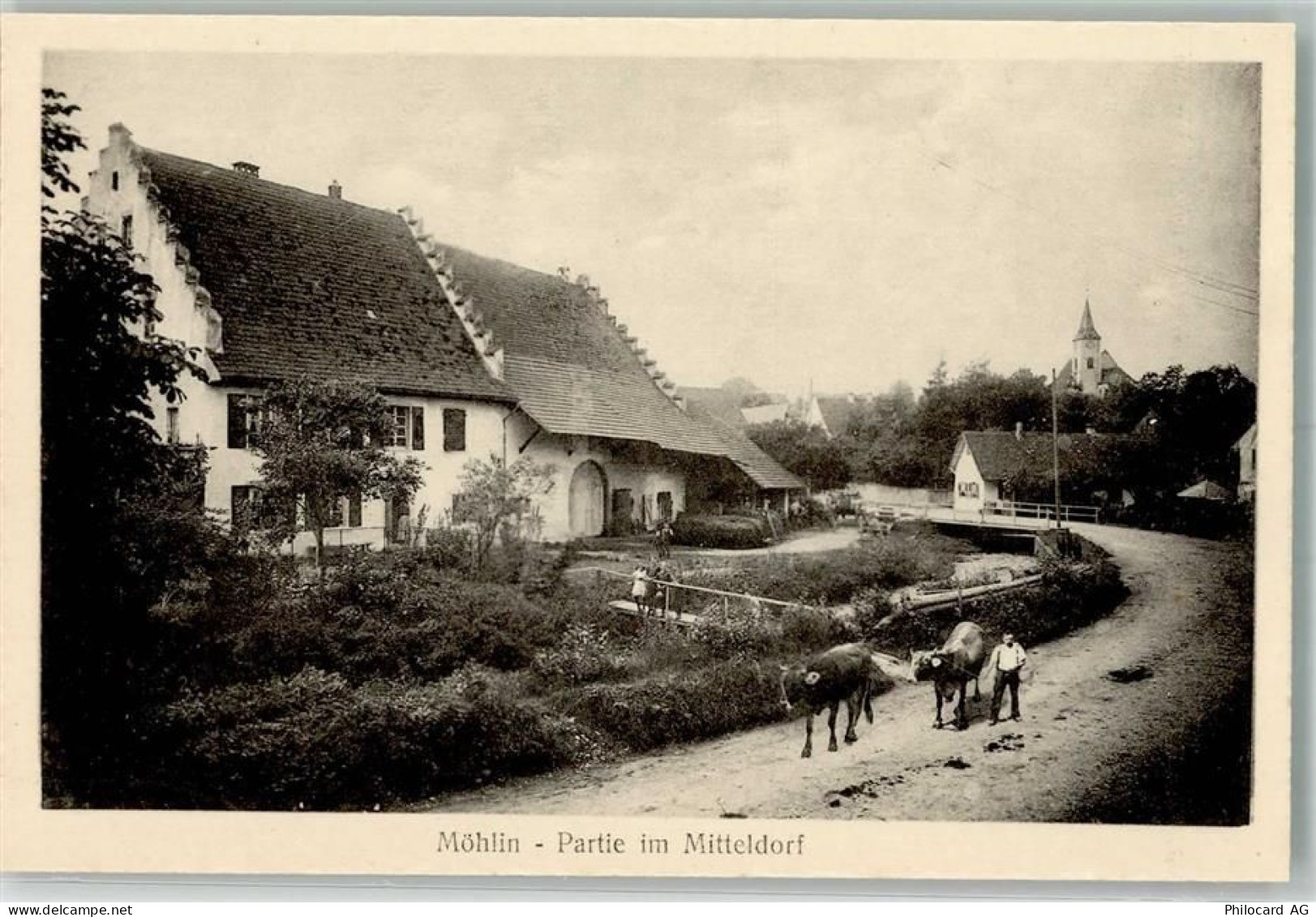 4313 Möhlin Foto AK - 13656817