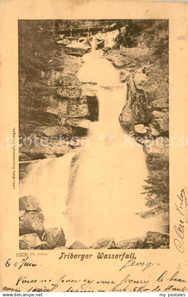 43136012 Triberg Schwarzwald Wasserfall Triberg