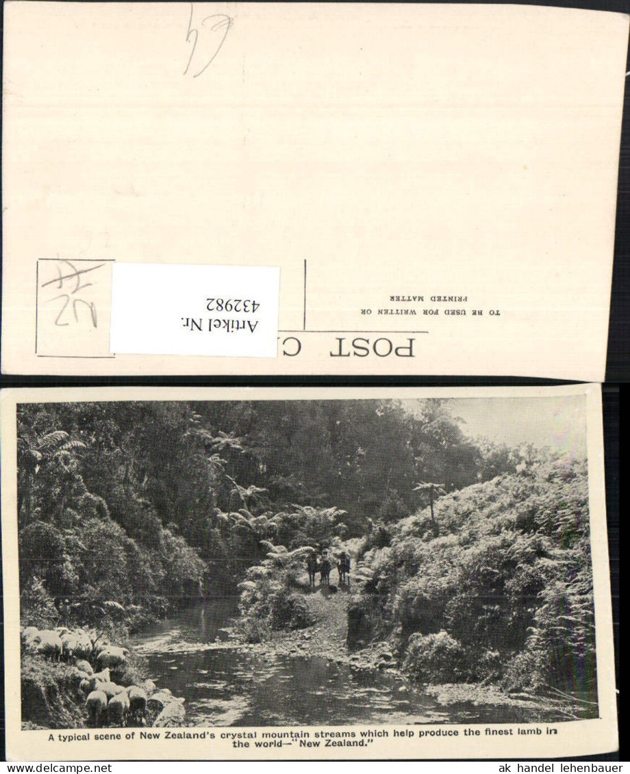 432982,New Zealand Neuseeland Crystal mountain streams Fluss Schafe