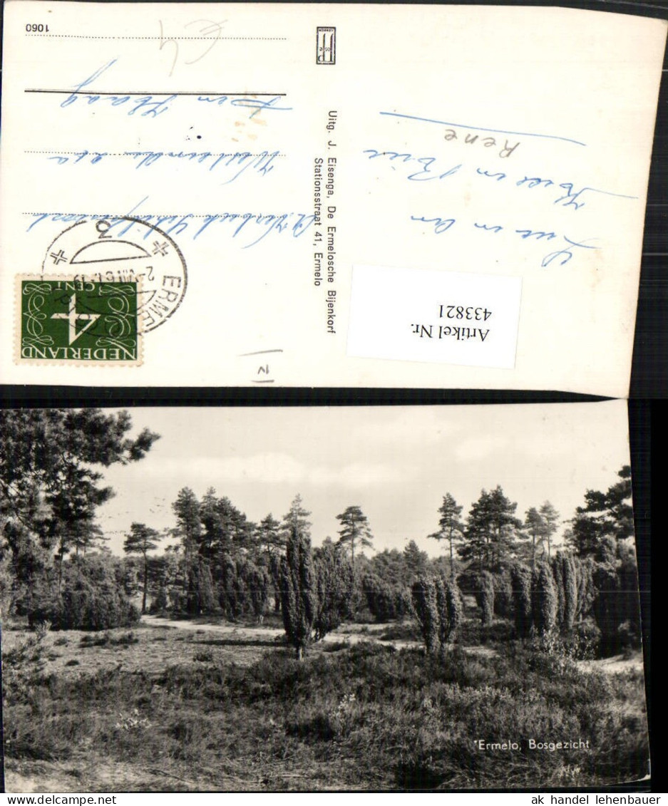 433821,Netherlands Ermelo Bosgezicht Landschaft