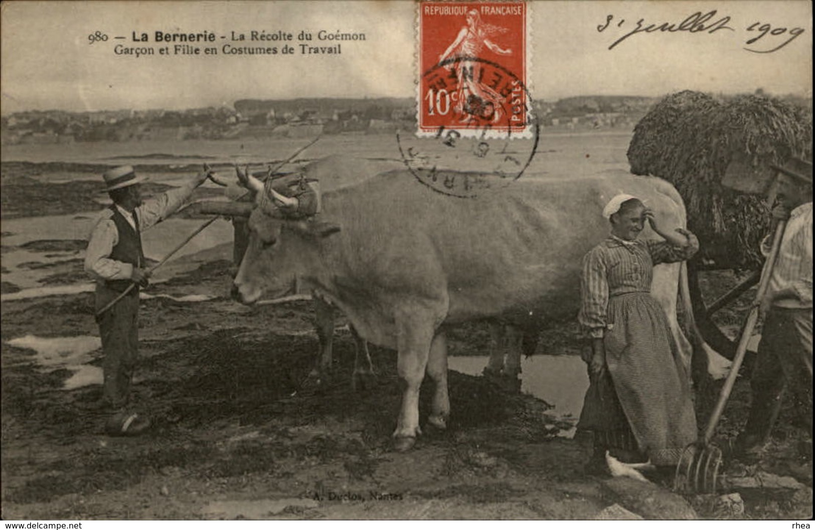 44 - LA BERNERIE-EN-RETZ - récolte Goemon