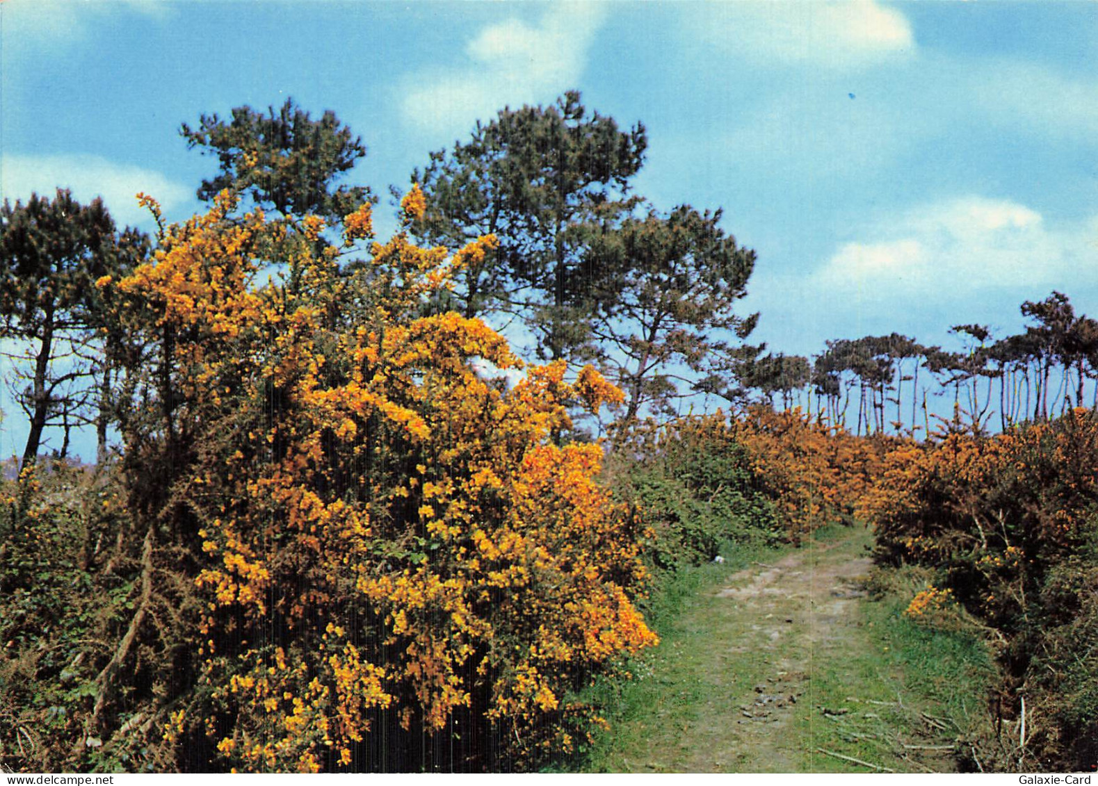 44 SAINT HERBLAIN BRETAGNE