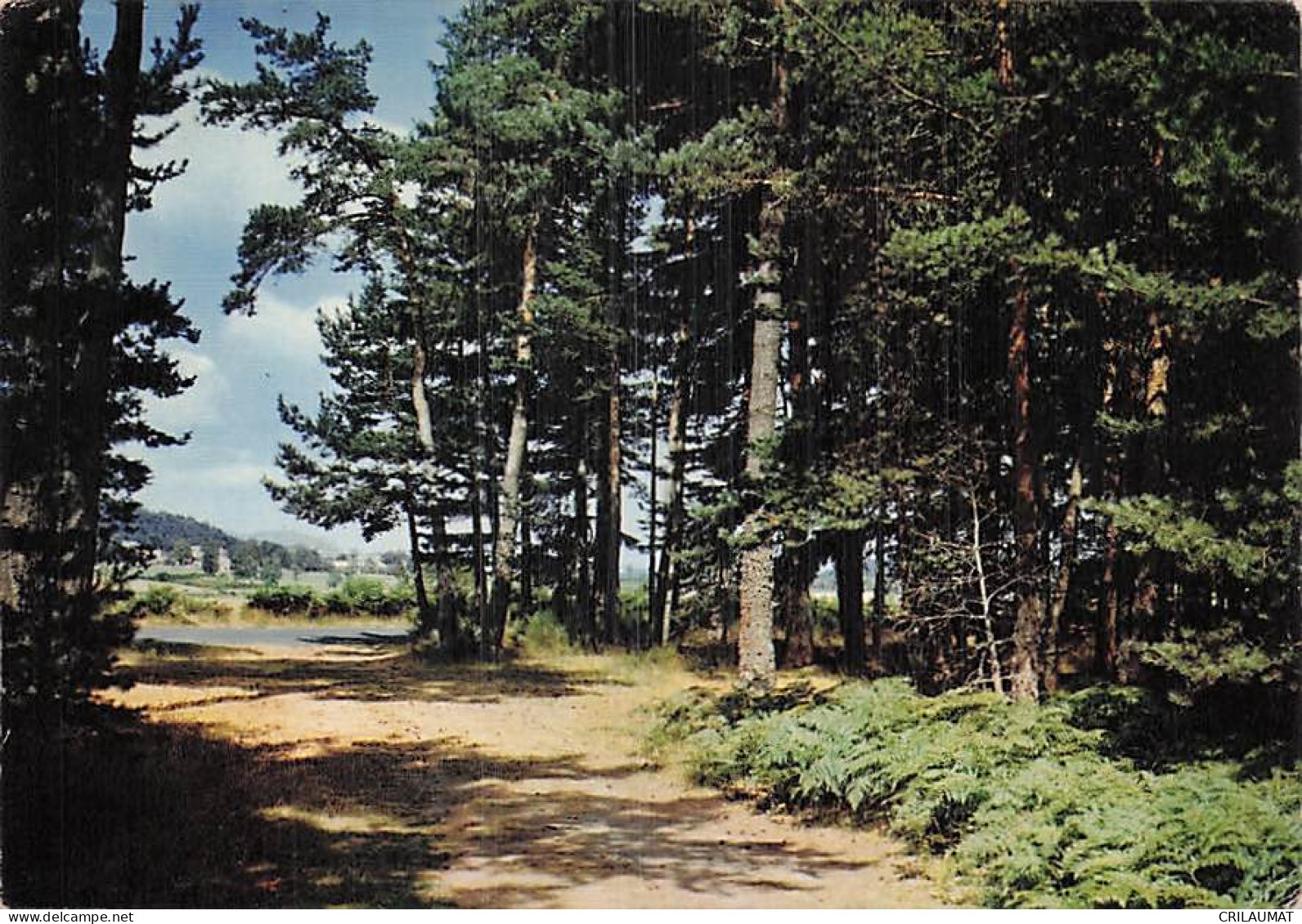 44 SAINT HERBLAIN FORETS