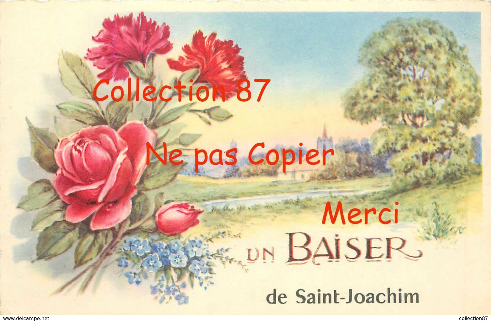44 ☺♦♦ SAINT JOACHIM < UN BAISER de St Joachim