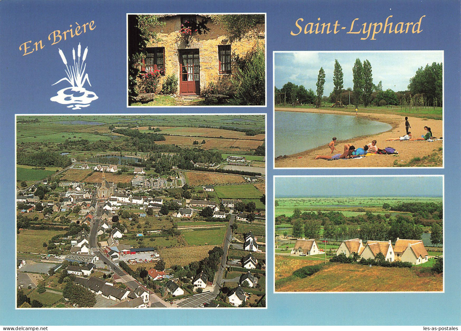 44 SAINT LYPHARD