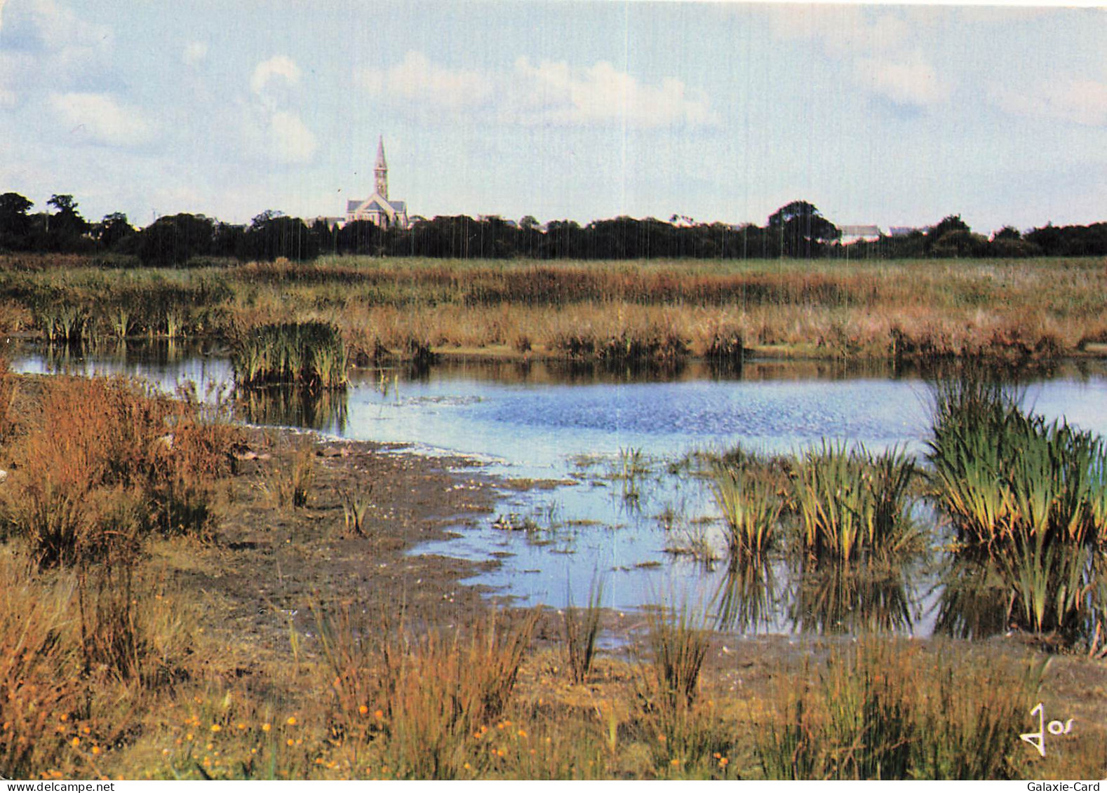 44 SAINT LYPHARD LE CLOCHER DE SAINT LYPHARD