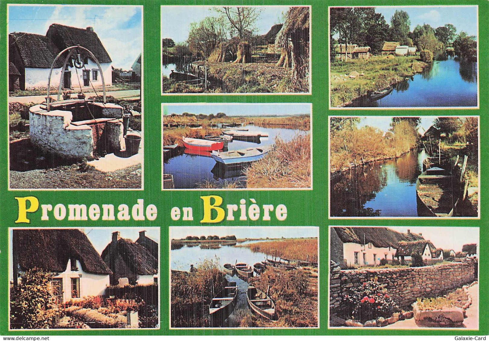 44 SAINT LYPHARD MARAIS DE BRIERE