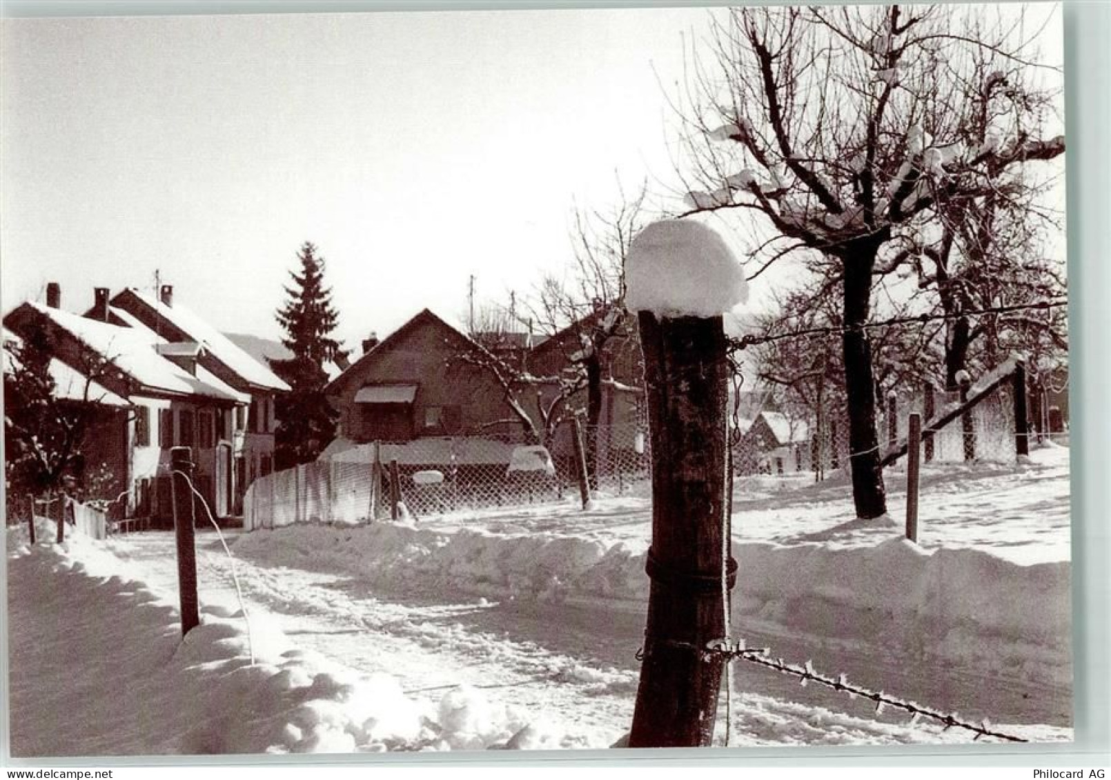 4402 Frenkendorf - Nübrig im Schnee - 39374909