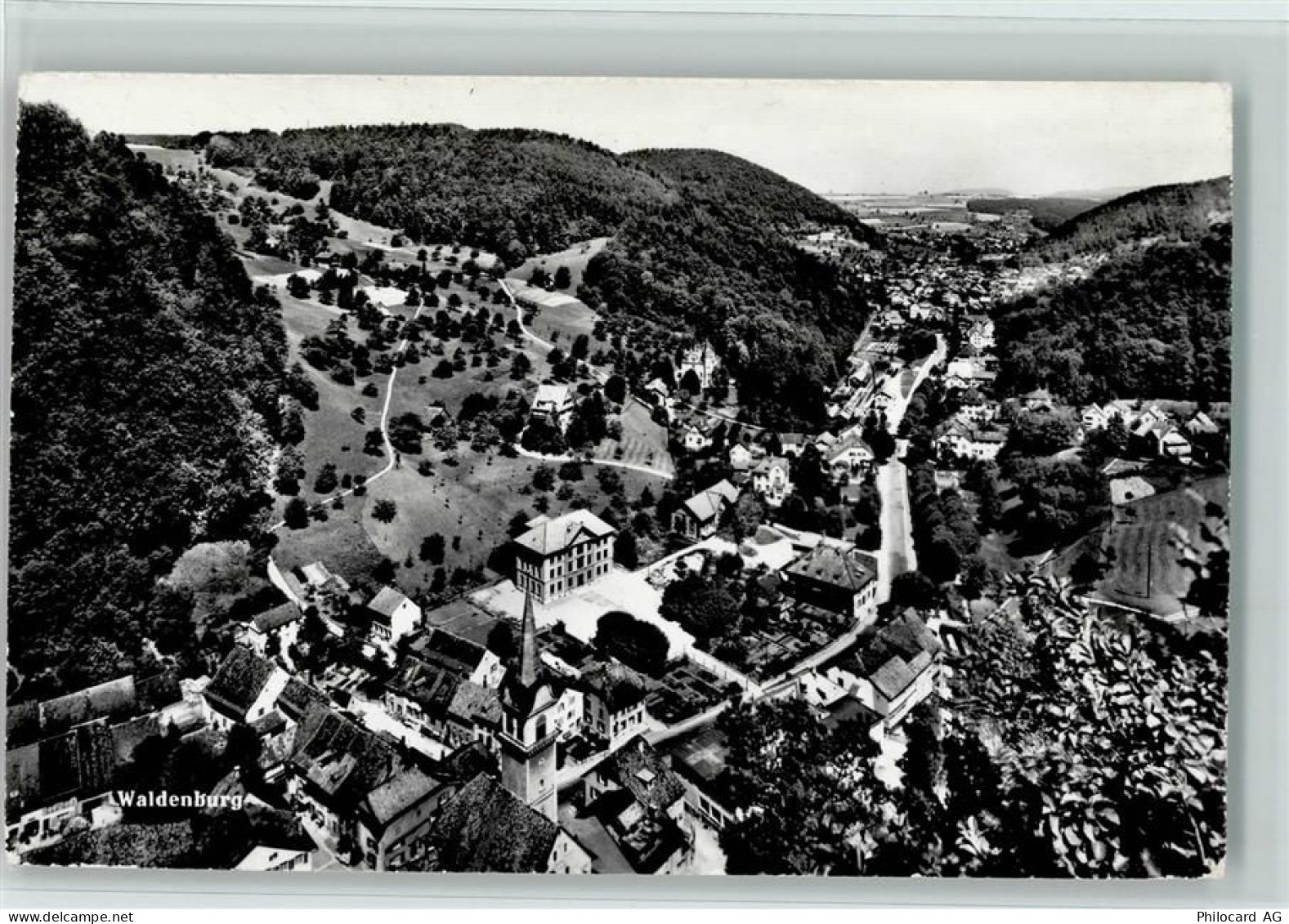 4437 Waldenburg - 13100131