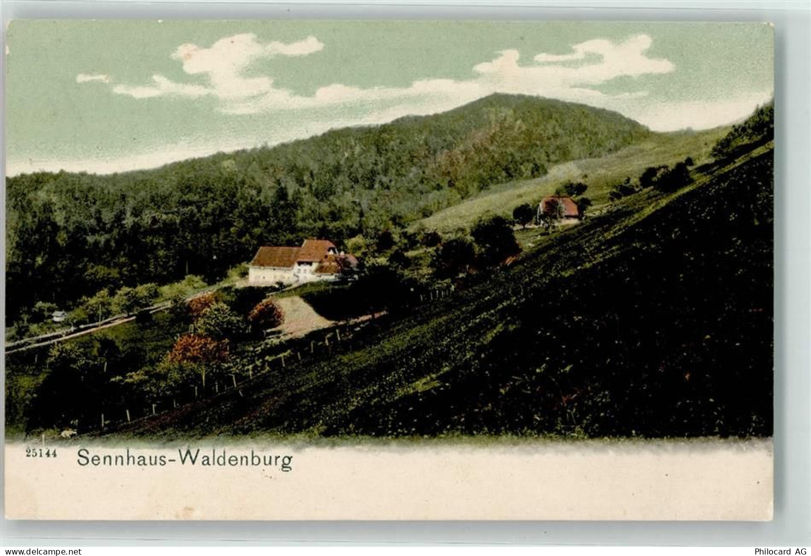 4437 Waldenburg 1910 - Sennhaus - 13960835