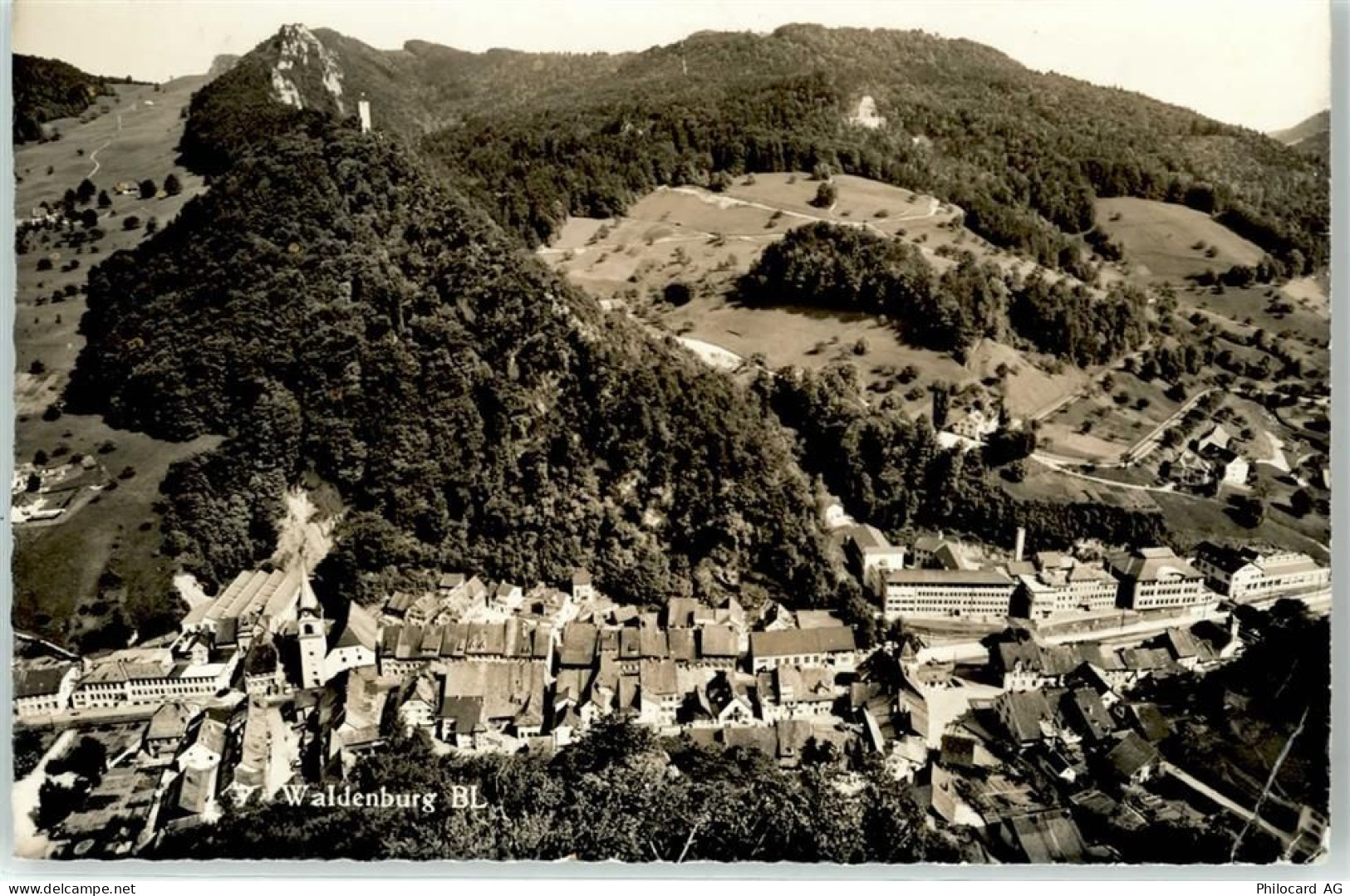 4437 Waldenburg - 51713896