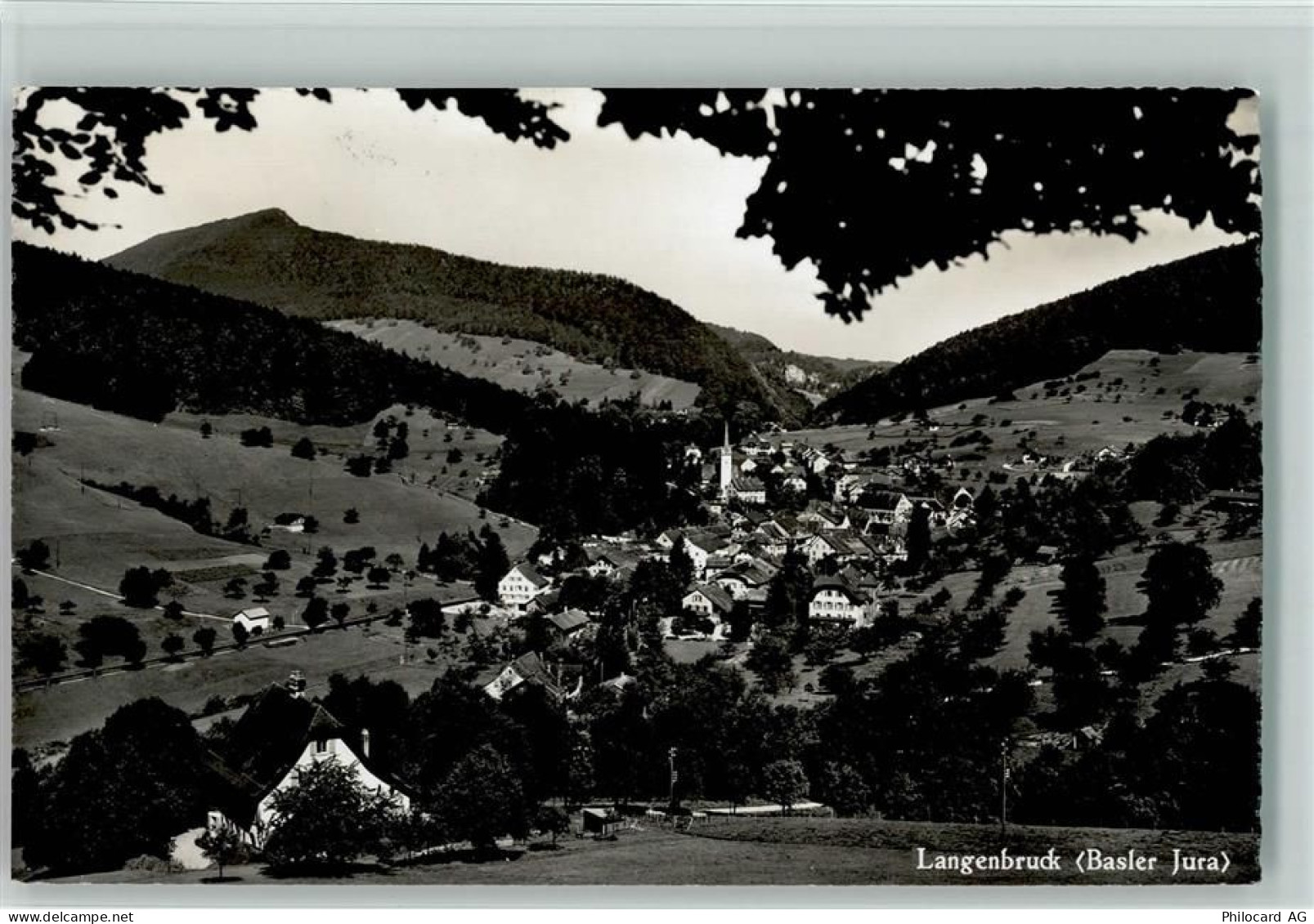 4438 Langenbruck - Panoramaansicht - 10193833