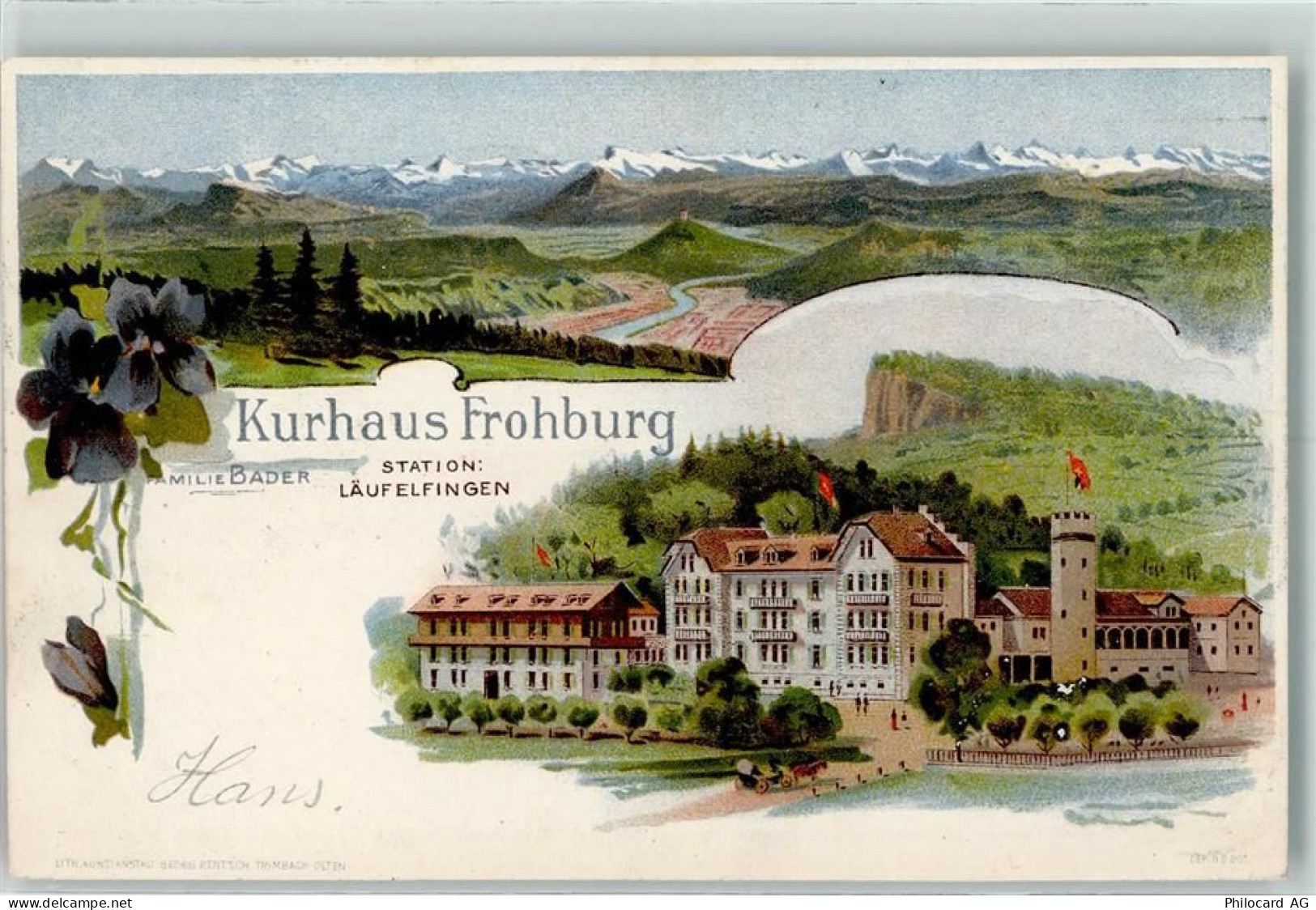 4448 Läufelfingen 1906 Lithographie Kurhaus Frohburg - 13414489