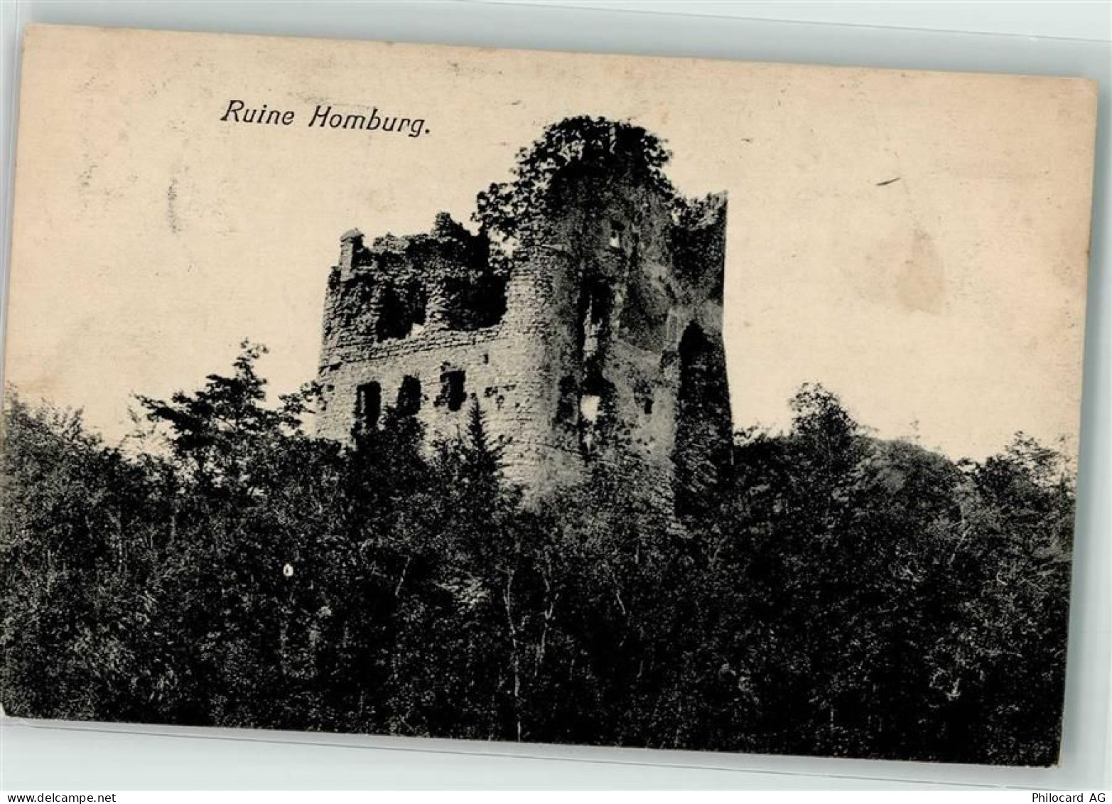 4448 Läufelfingen - Ruine Homburg - 39404220