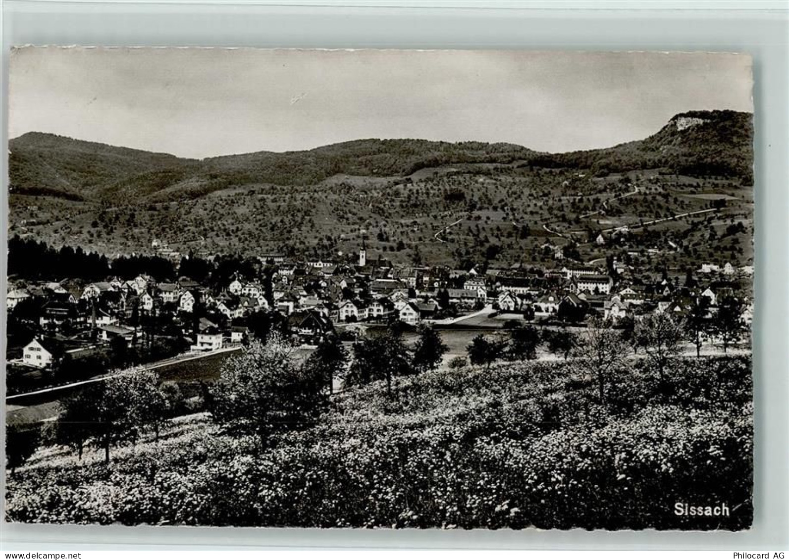 4450 Sissach - 10161282