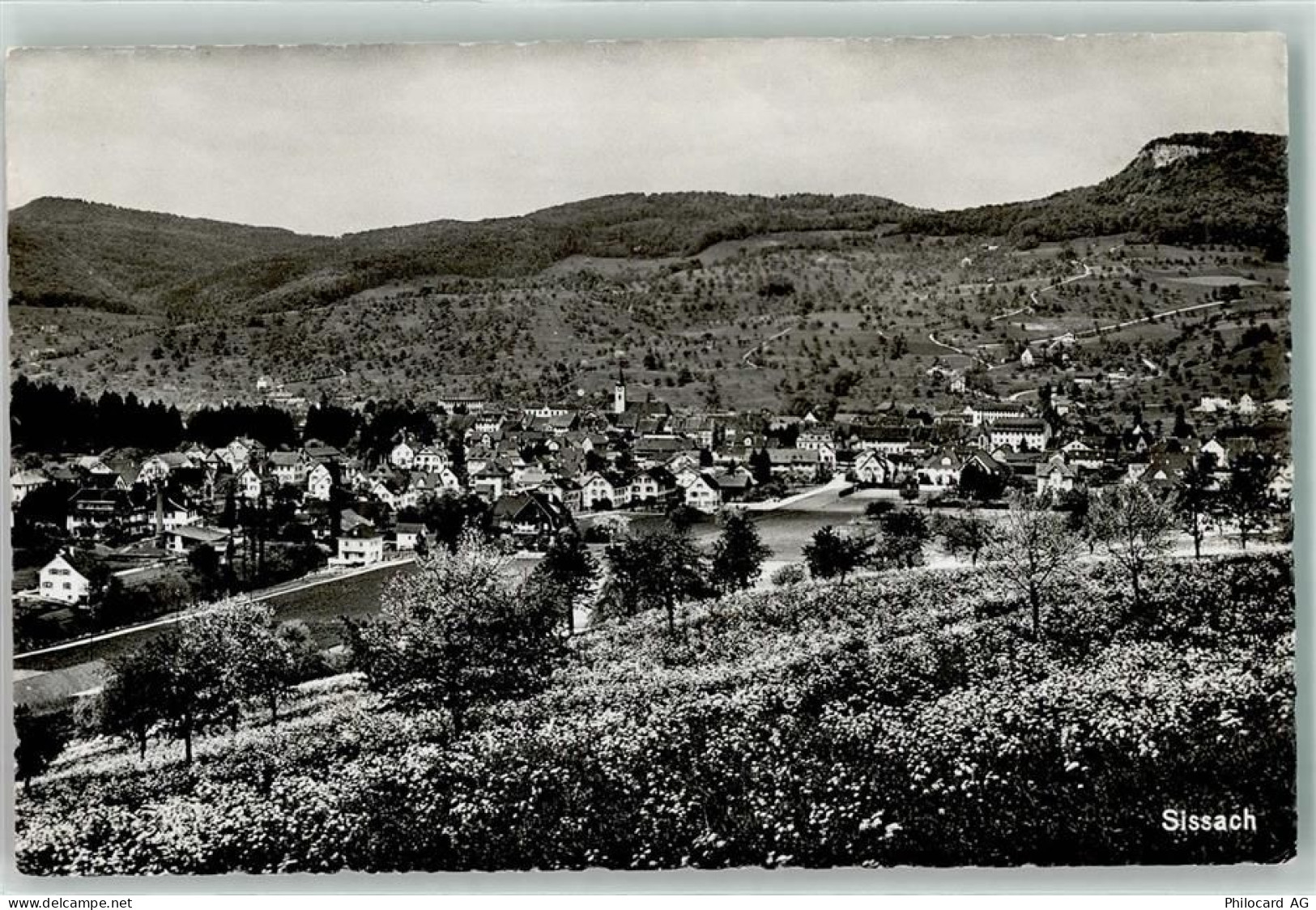 4450 Sissach - 13908414