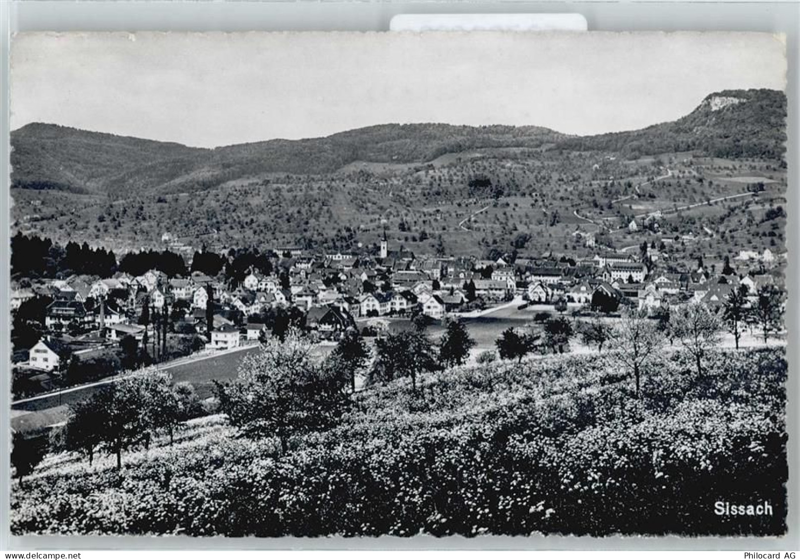 4450 Sissach - Gesamtansicht - 50702680