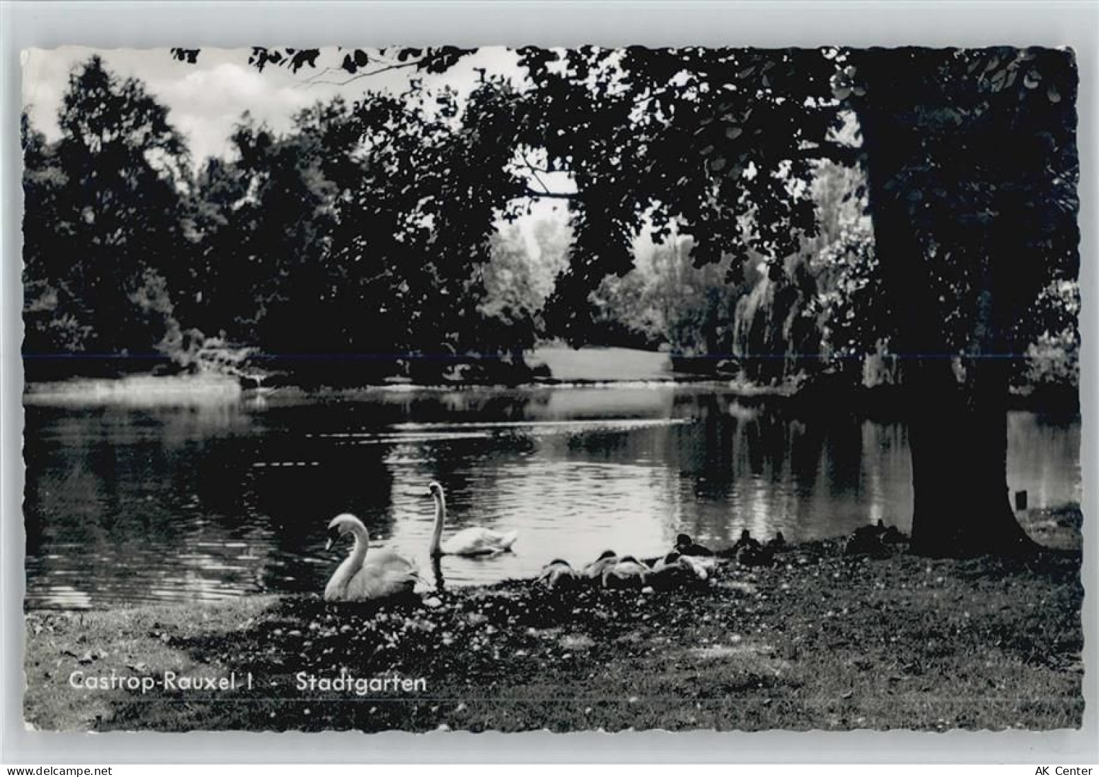 44575 W4620 Castrop-Rauxel - Stadtgarten - 10053864