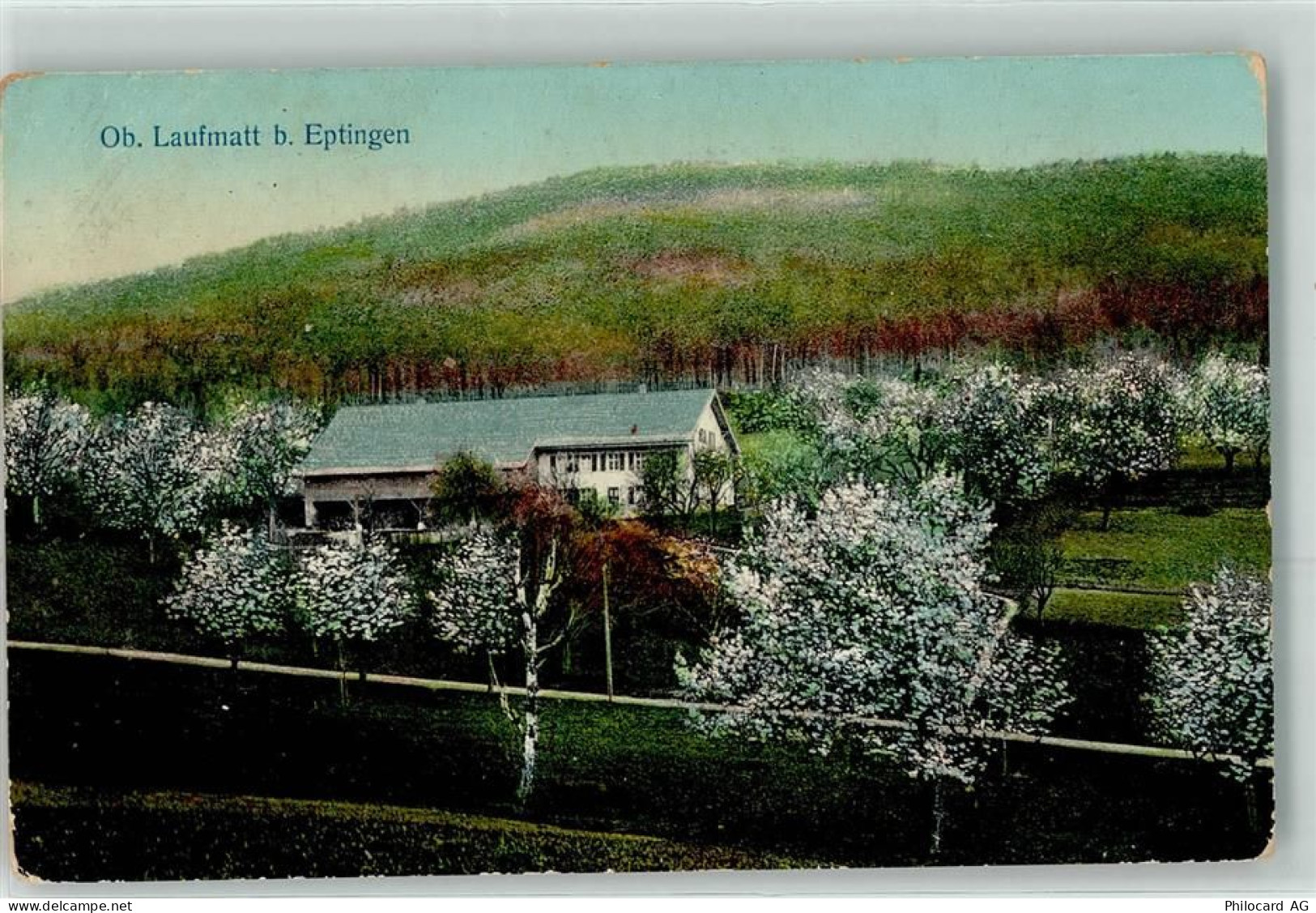 4458 Eptingen - Laufmatt - 13271526
