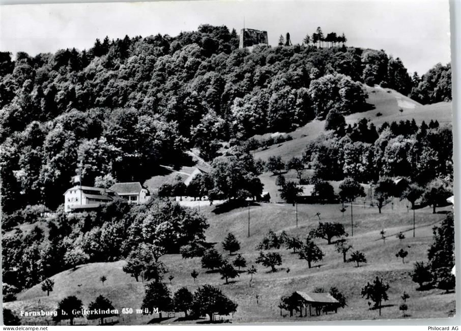 4460 Gelterkinden - Farnsburg - 50746981