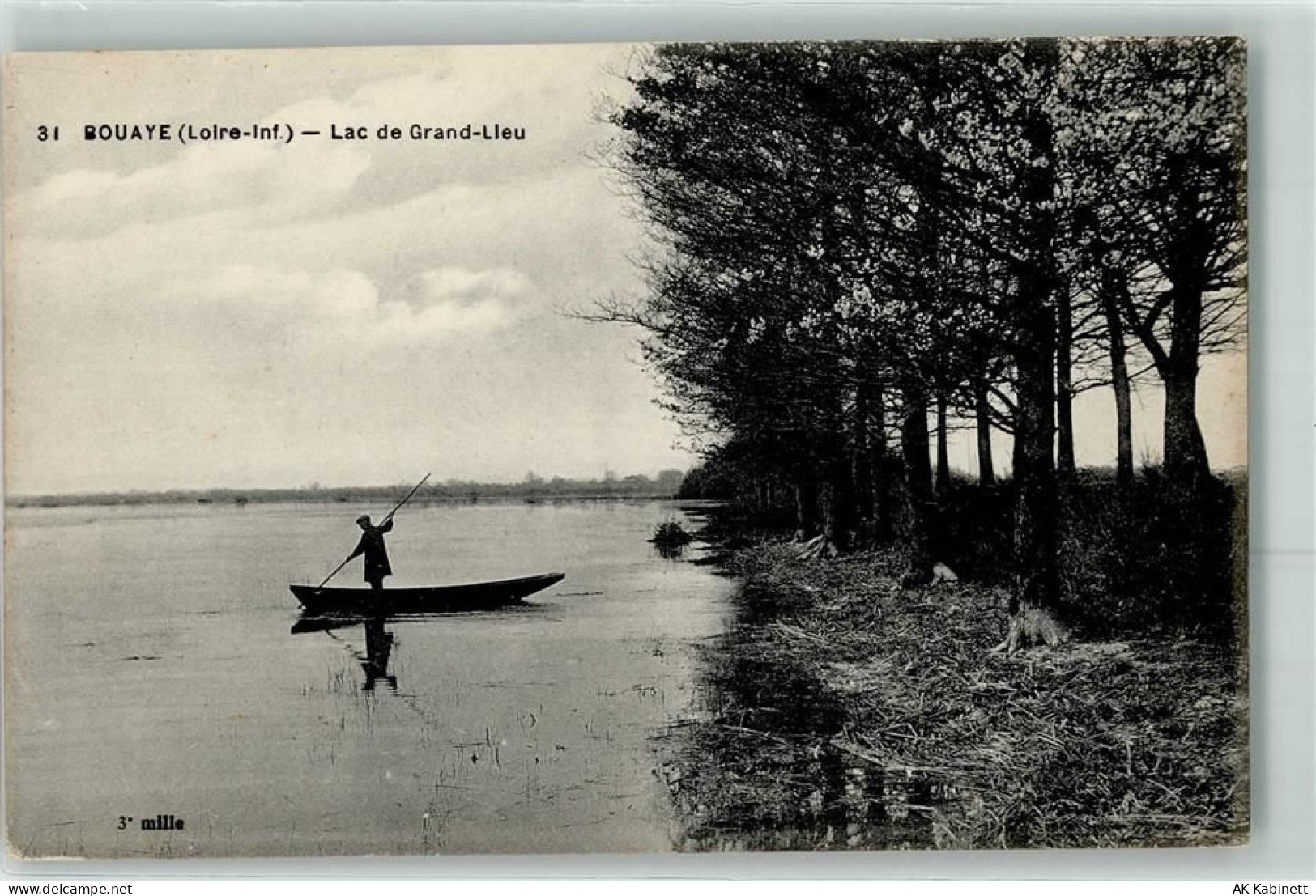 44830 Bouaye - Lac de Grand Lieu - 39479324