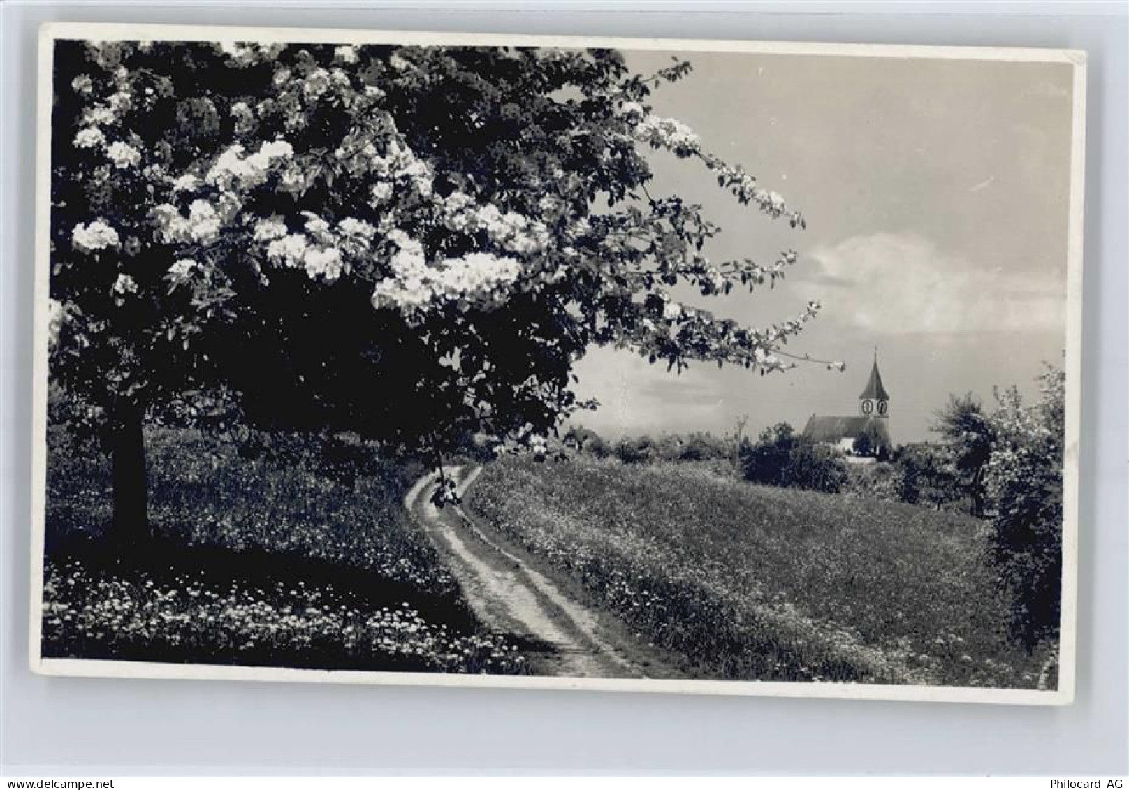 4496 Kilchberg BL - Kirche - 50609938