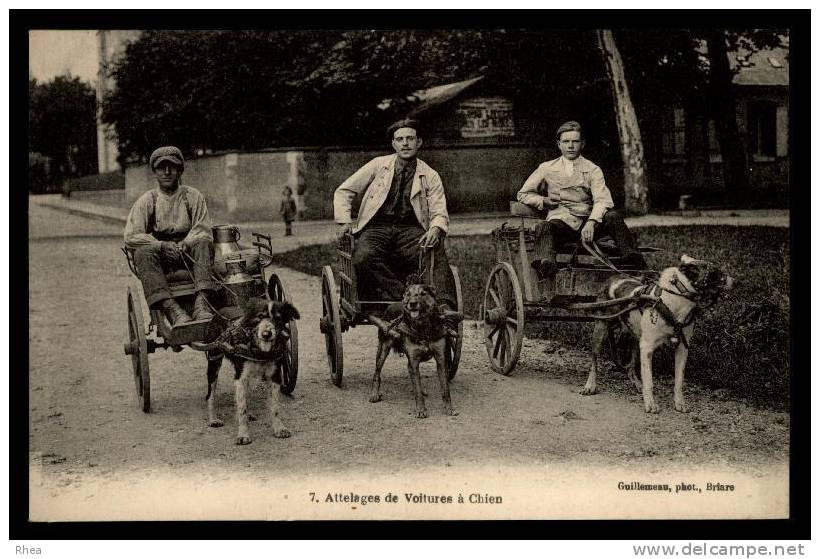 45 Briare - attelages chiens - laitier - voitures à chiens