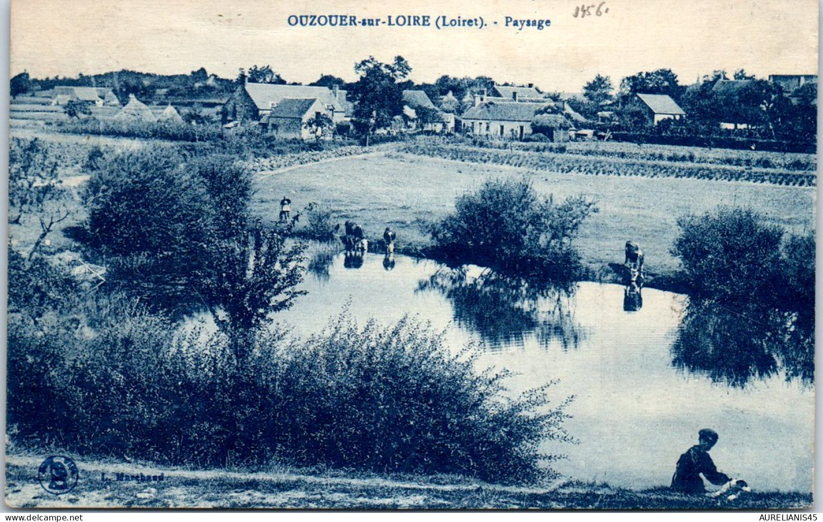 45 OUZOUER SUR LOIRE - paysage.