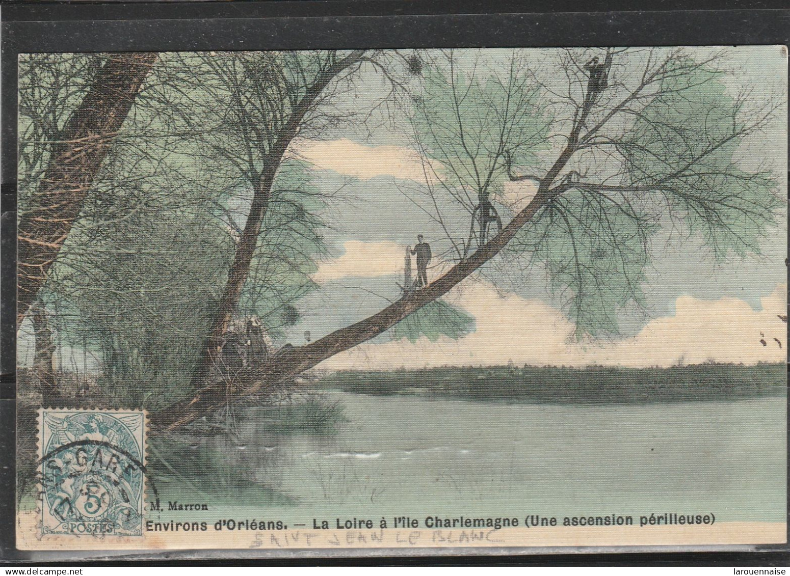 45 - SAINT JEAN LE BLANC - La Loire à l' Ile Charlemagne (Une ascension périlleuse)