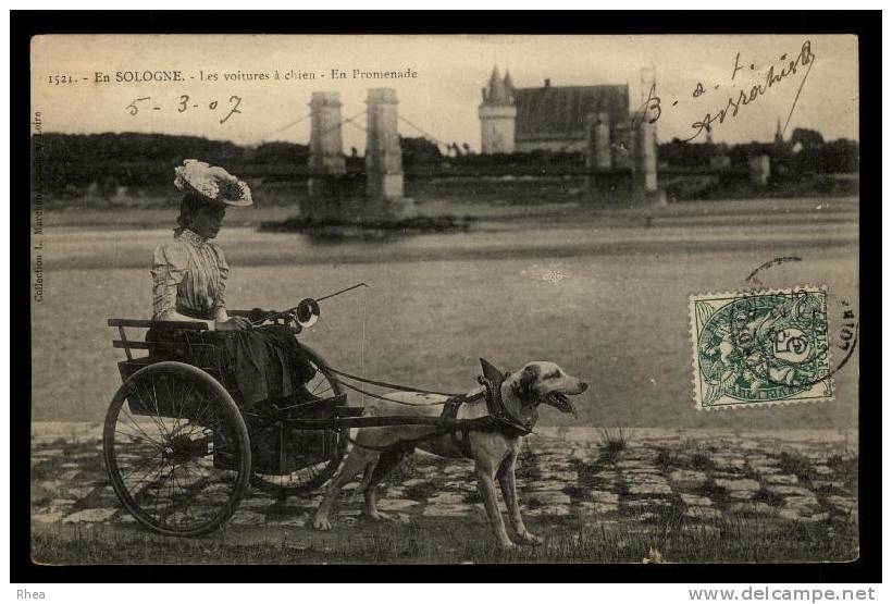 45 Sully-sur-Loire - attelage chiens - EN SOLOGNE - voiture à chiens