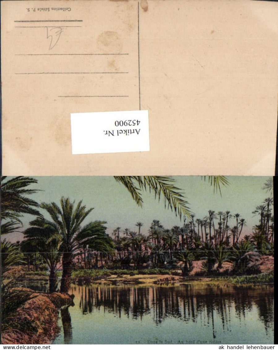 452900,Africa Dans le Sud Au bord d'une riviere Fluss Palmen