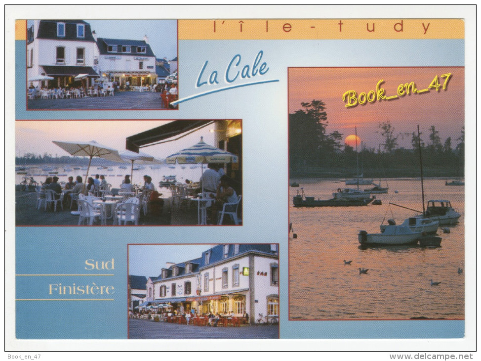 {45517} 29 Finistère L' Ile Tudy , La Cale , multivues. " en baisse "