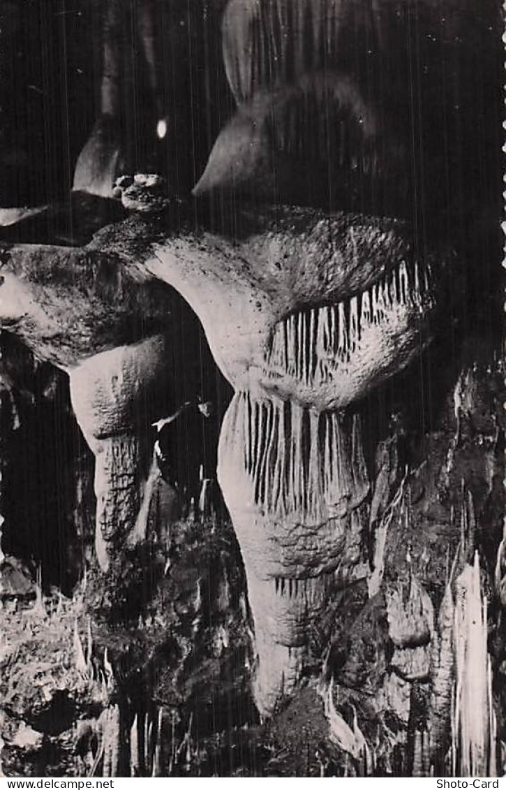 46 LACAVE GROTTES DE LACAVE