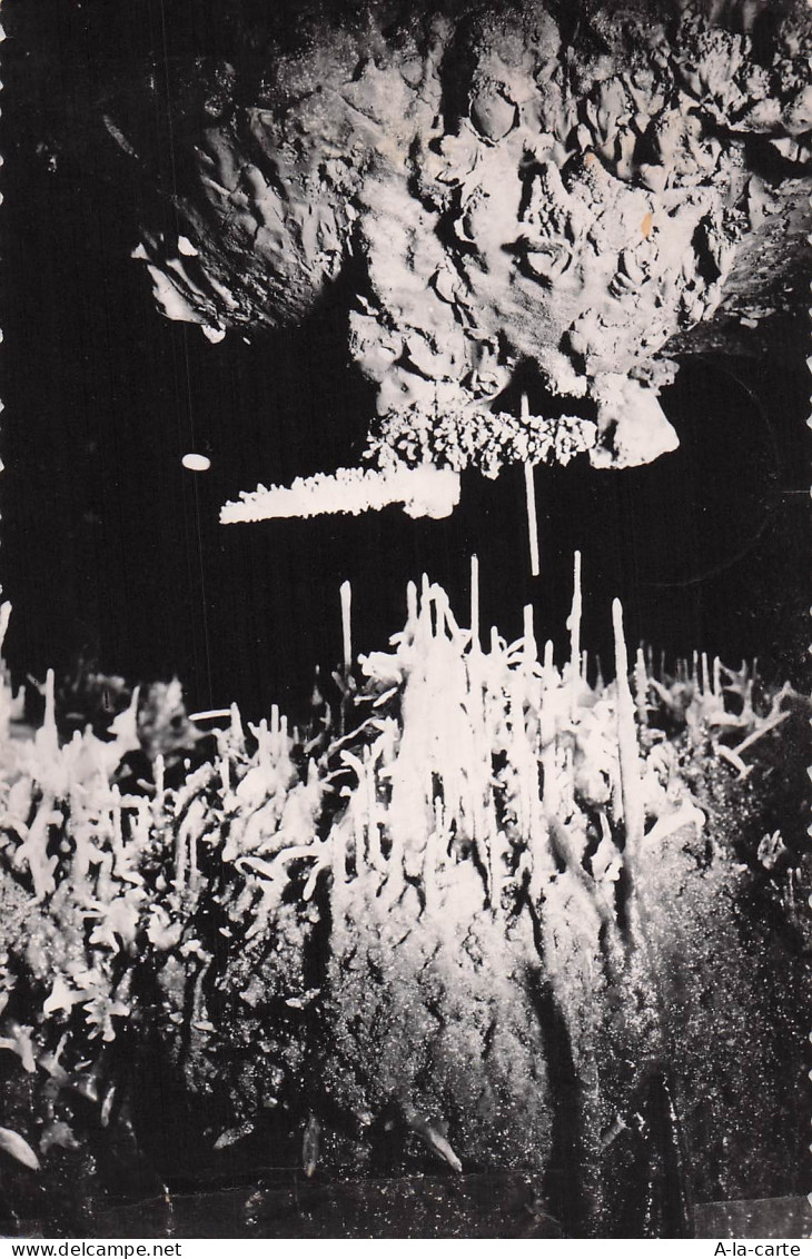 46 LACAVE GROTTES DE LACAVE