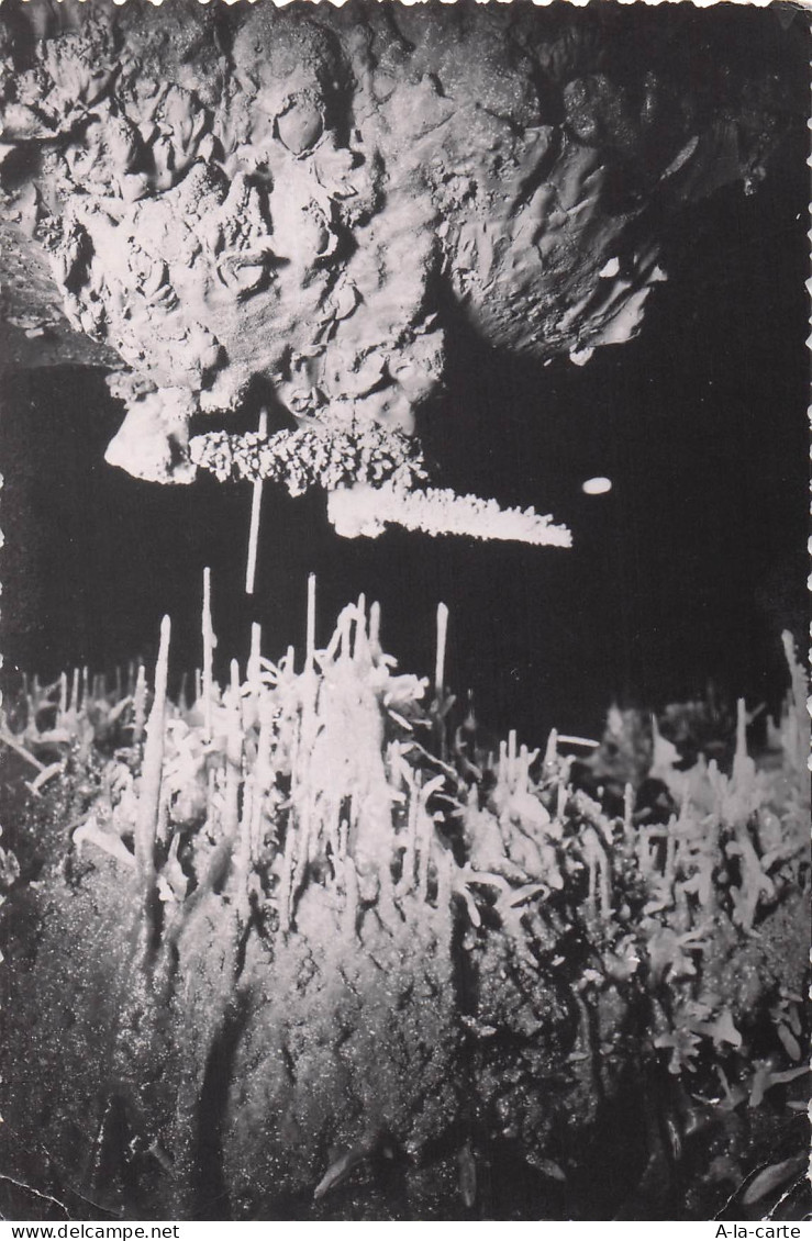 46 LACAVE GROTTES DE LACAVE