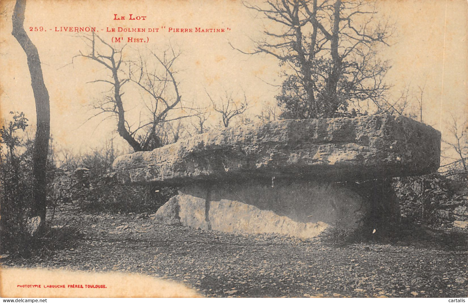 46-LIVERNON-N°4537-C/0389