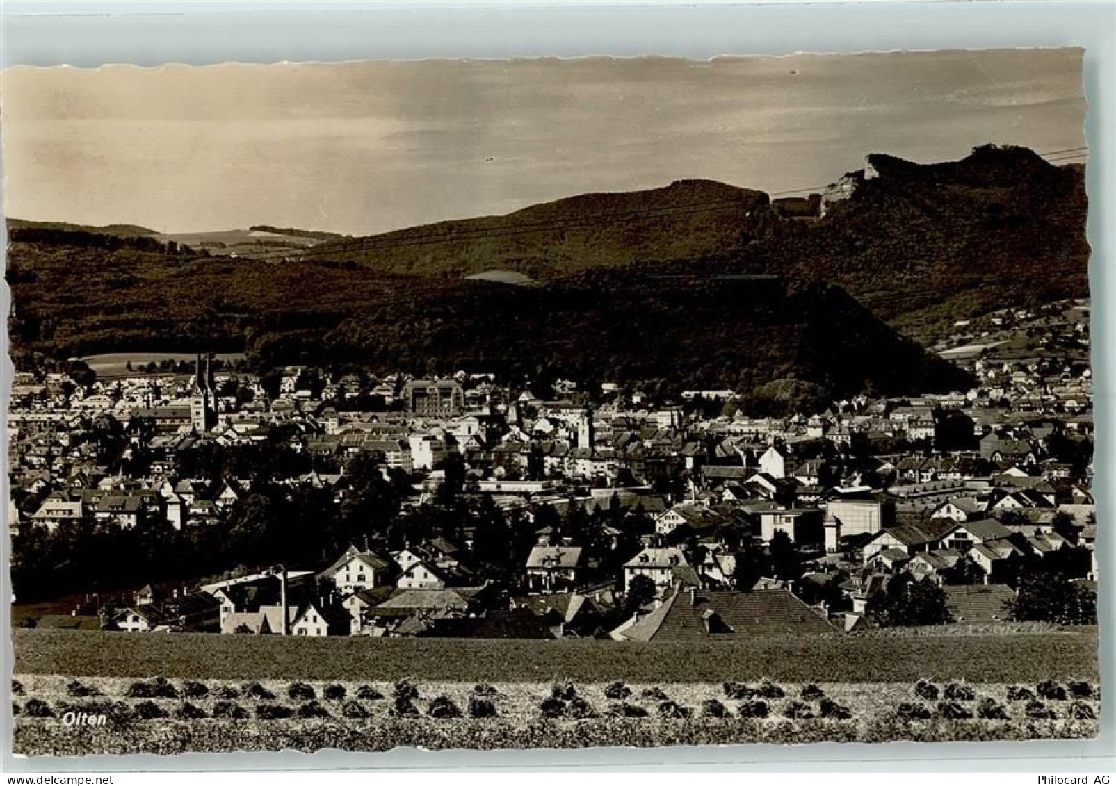 4600 Olten - 10202474