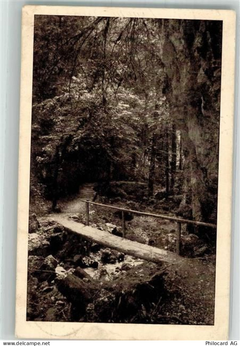 4614 Hägendorf 1924 Foto AK Teufelsschlucht - 39979578