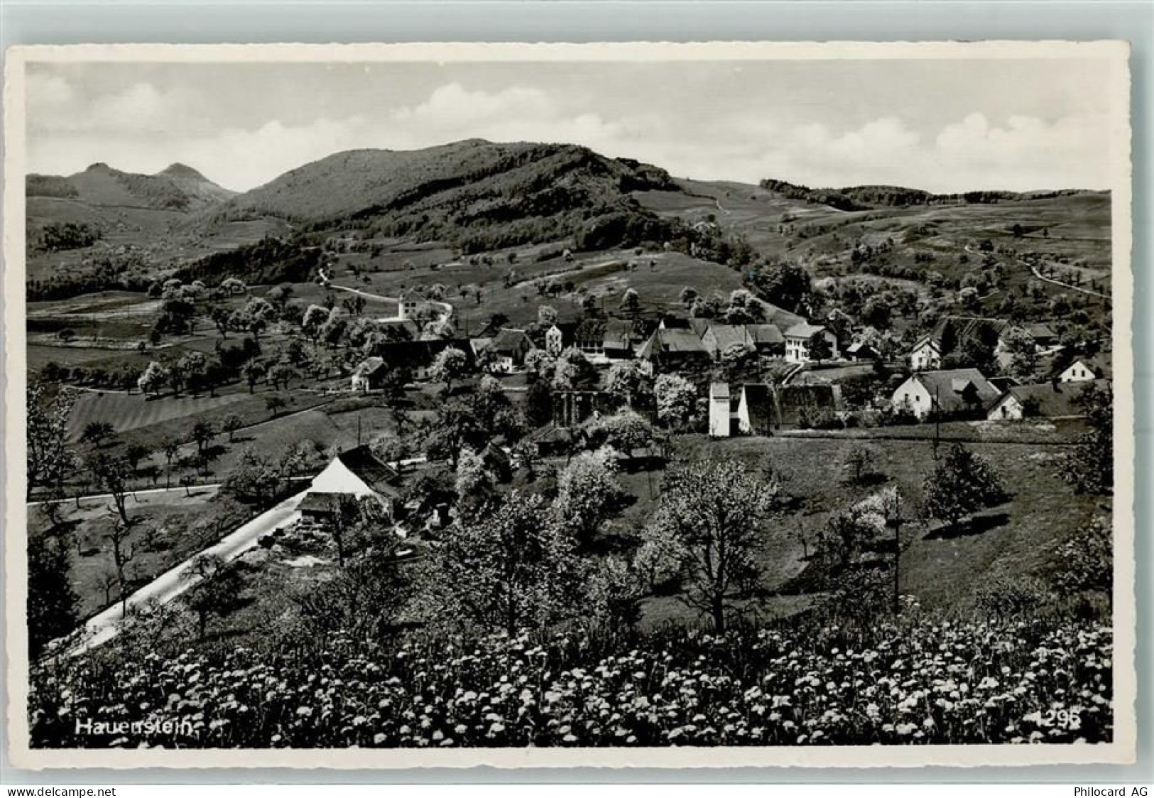 4633 Hauenstein-Ifenthal - 13159218