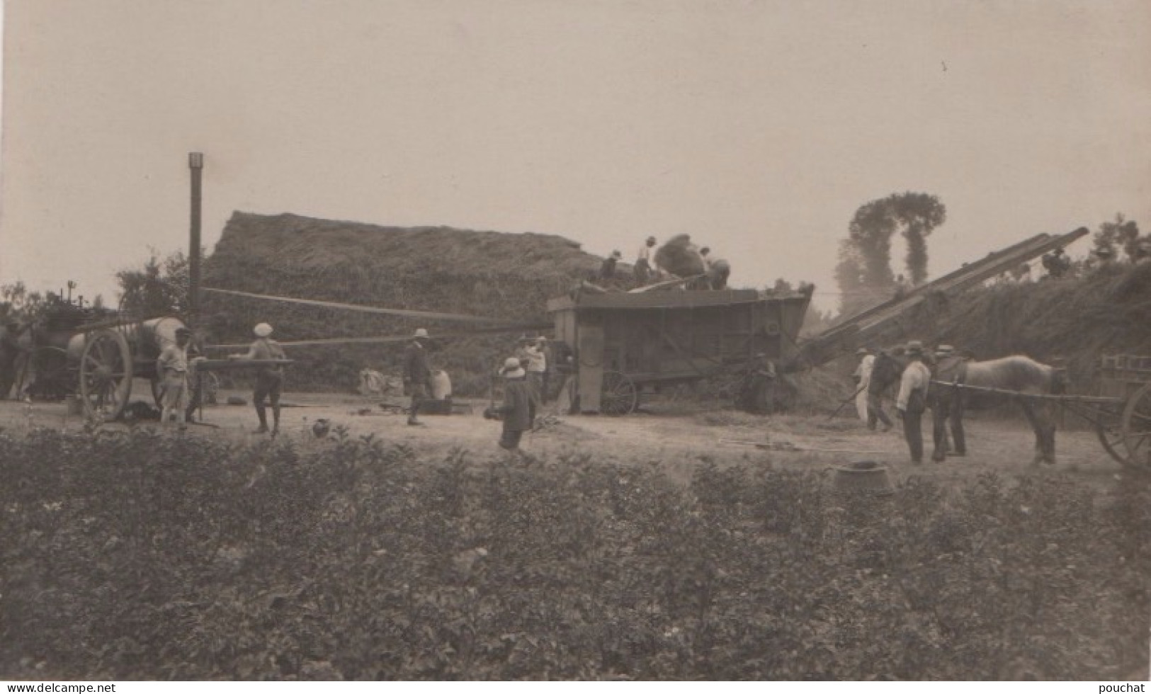 47) CASTELJALOUX - CARTE PHOTO BALISTAI MARMANDE - CASTELJALOUX - MACHINE AGRICOLE - LE DEPIQUAGE - PAYSANS  - (2 SCANS)