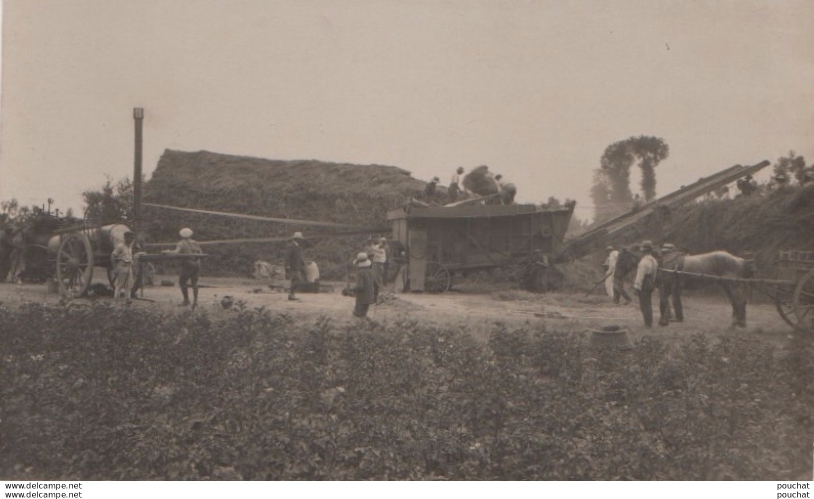 47) CASTELJALOUX - CARTE PHOTO BALISTAI MARMANDE - CASTELJALOUX - MACHINE AGRICOLE - LE DEPIQUAGE - PAYSANS  - (2 SCANS)