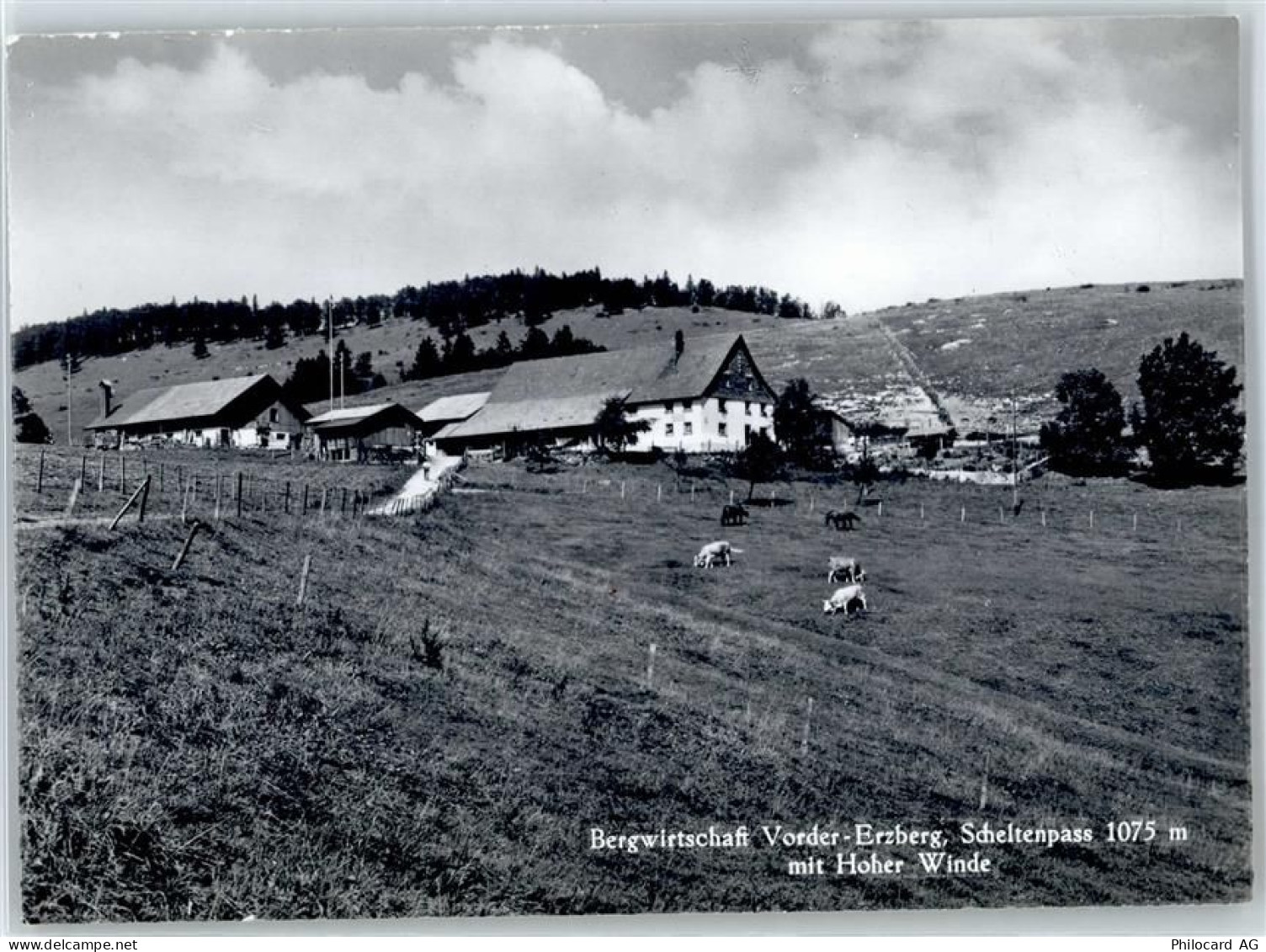 4719 Ramiswil - Bergwirtschaft Vorder-Erzberg, Scheltenpas mit Hoher Win... - 51169844