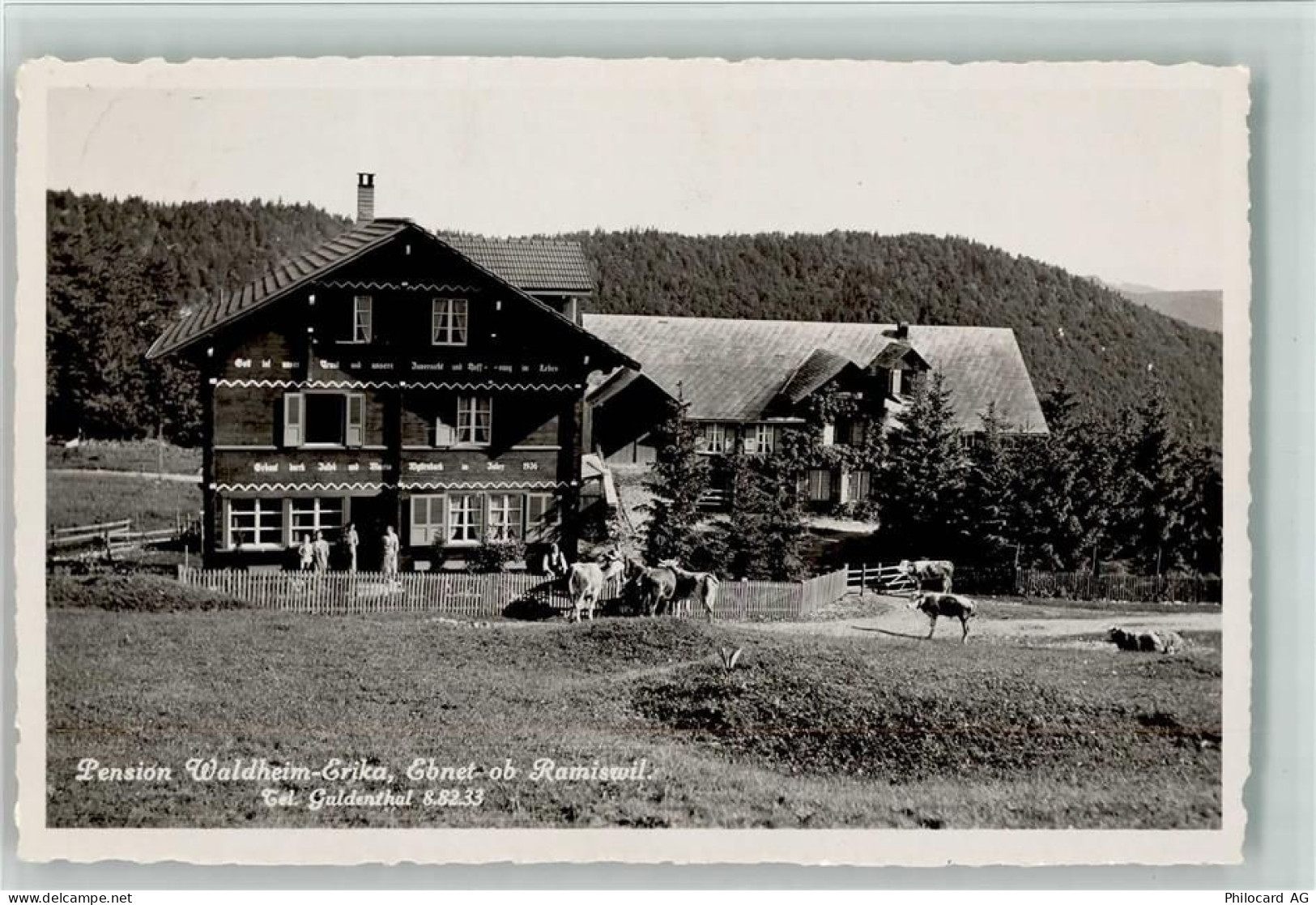 4719 Ramiswil - Pension Waldheim-Erika Rindvieh Ebnet - 13198962