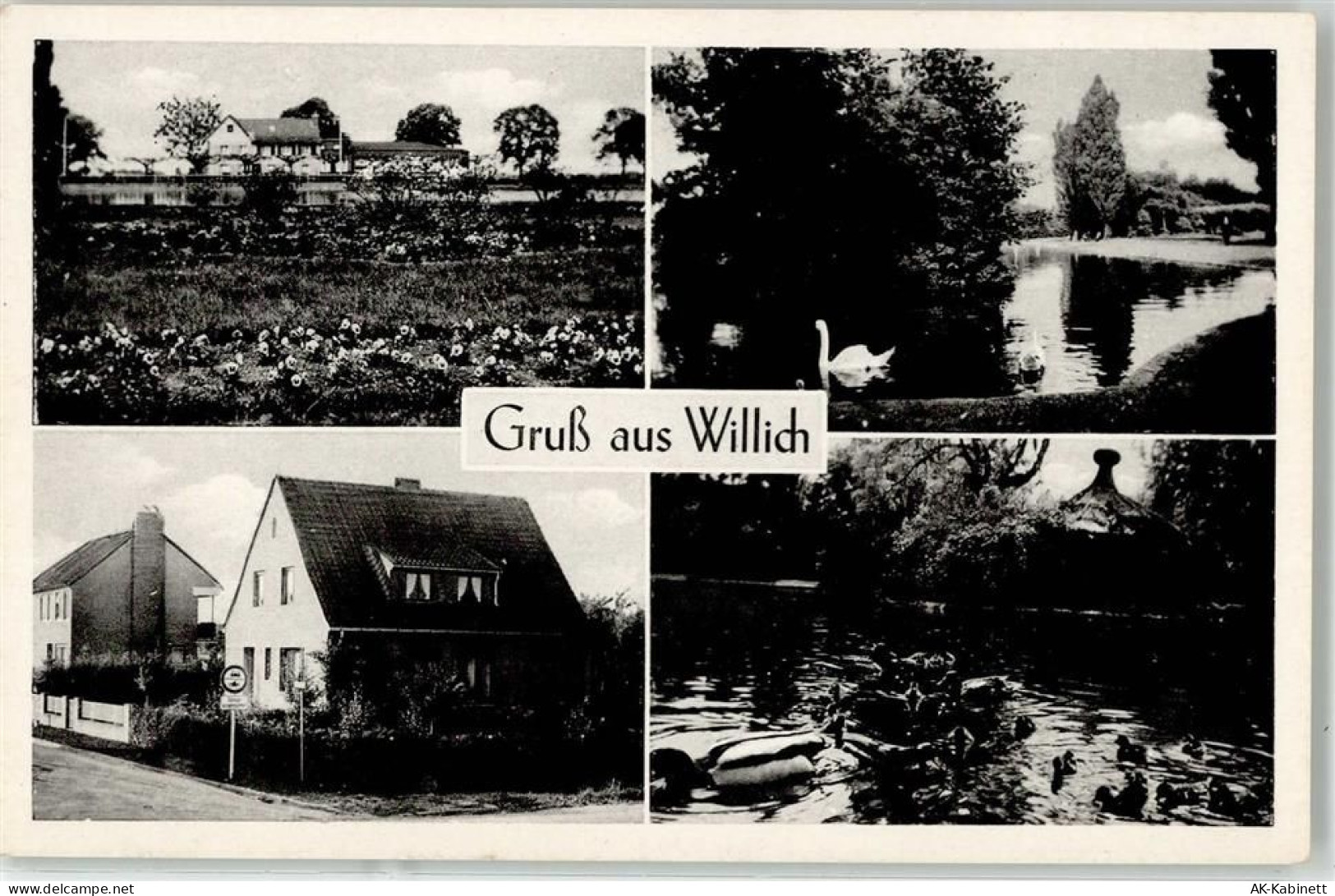 47877 W4156 Willich - 51889747