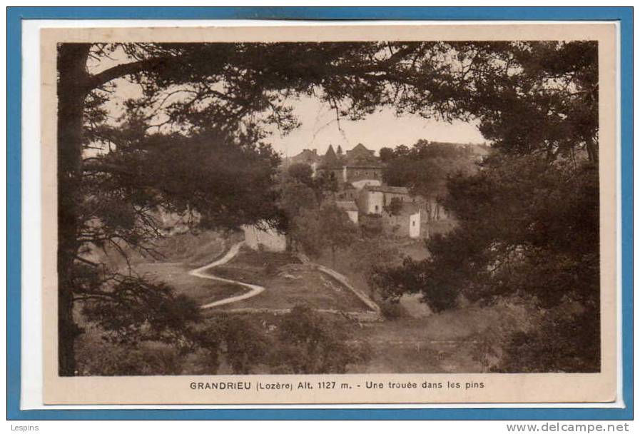 48 - GRANDRIEU --  Une troué dans les pins