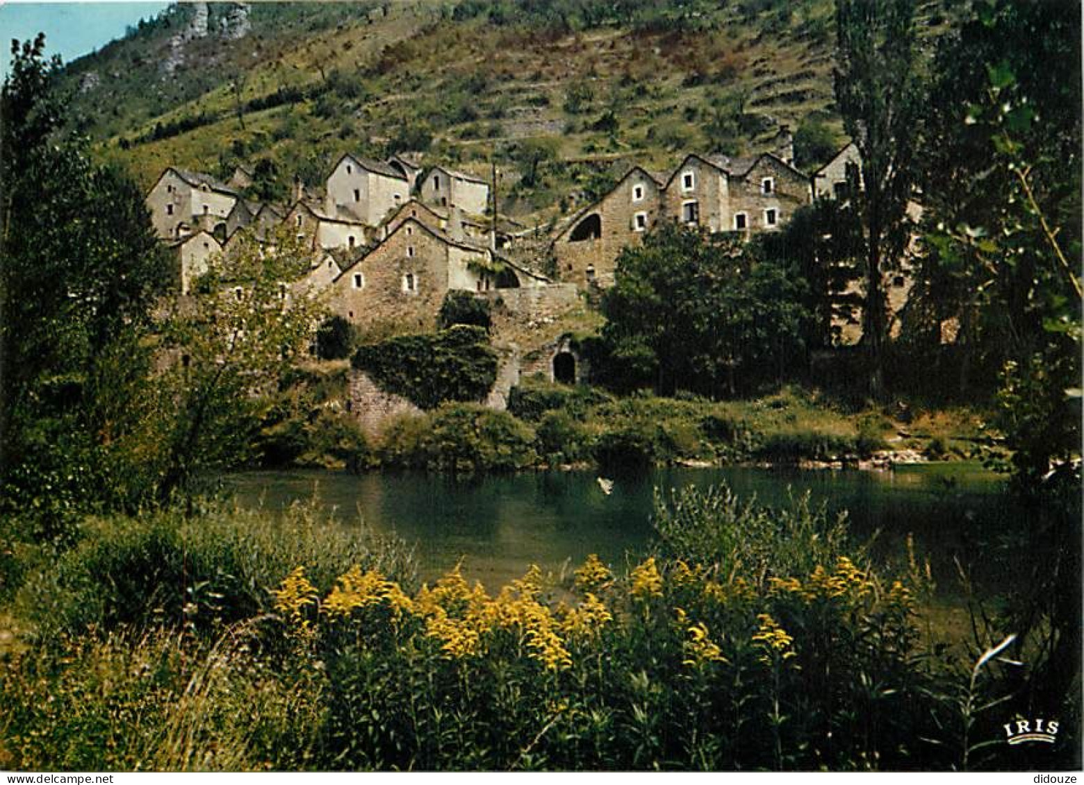 48 - Hauterive - CPM - Voir Scans Recto-Verso