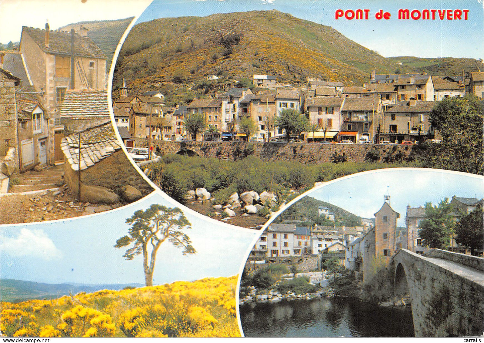 48-LE PONT DE MONTVERT-N 590-D/0285